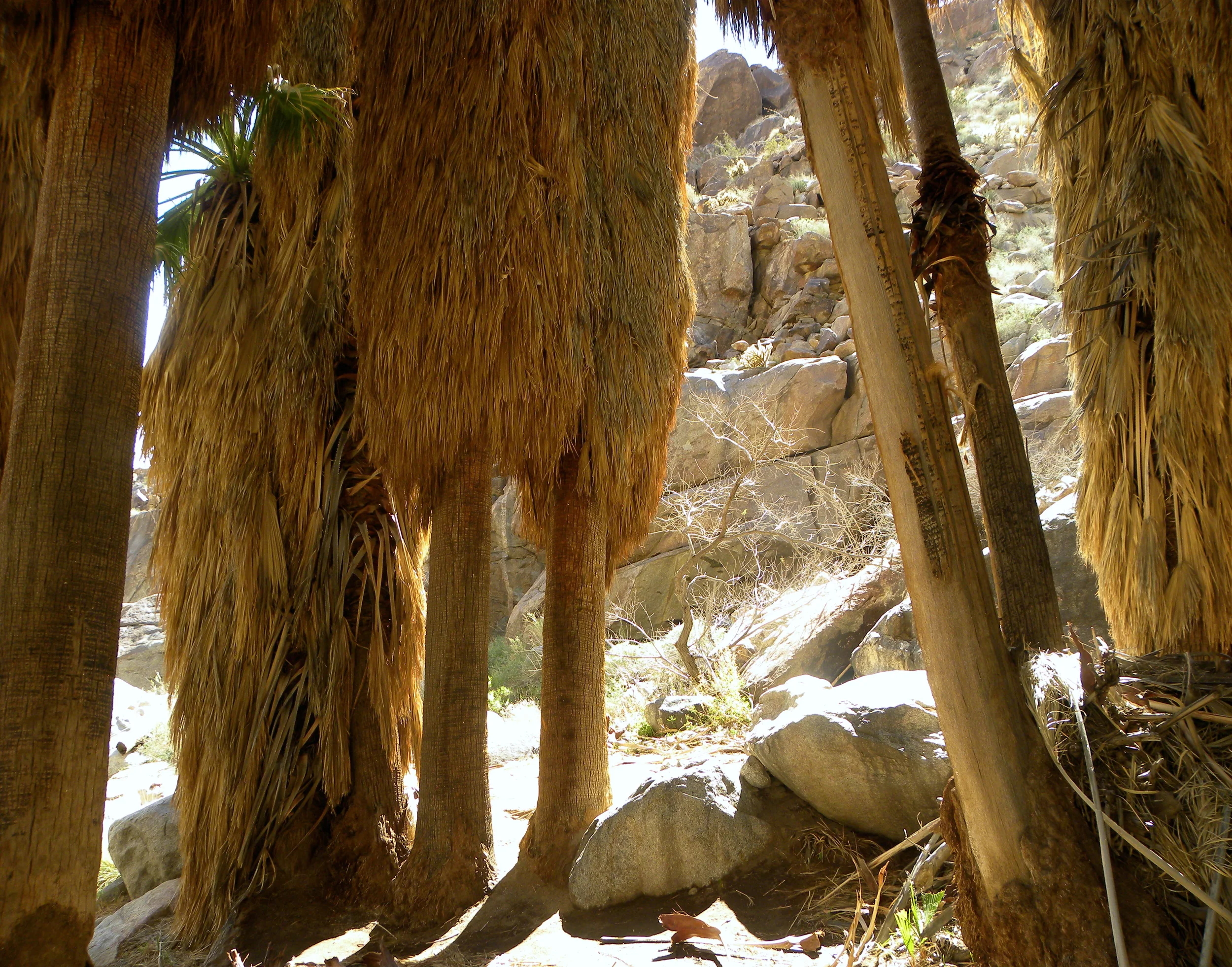 DSCN2032XXSMx 46.JPG