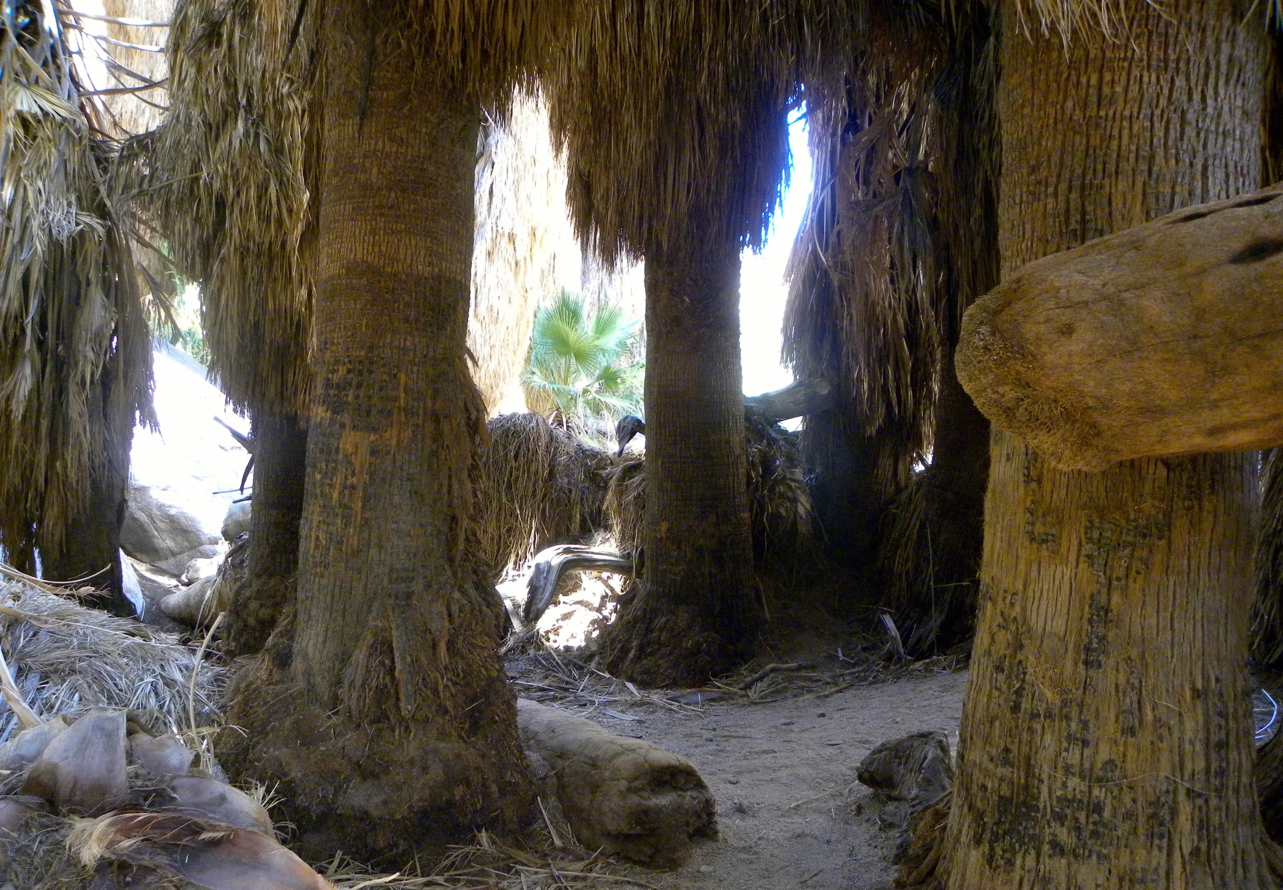 DSCN2032XXSMx 47.JPG