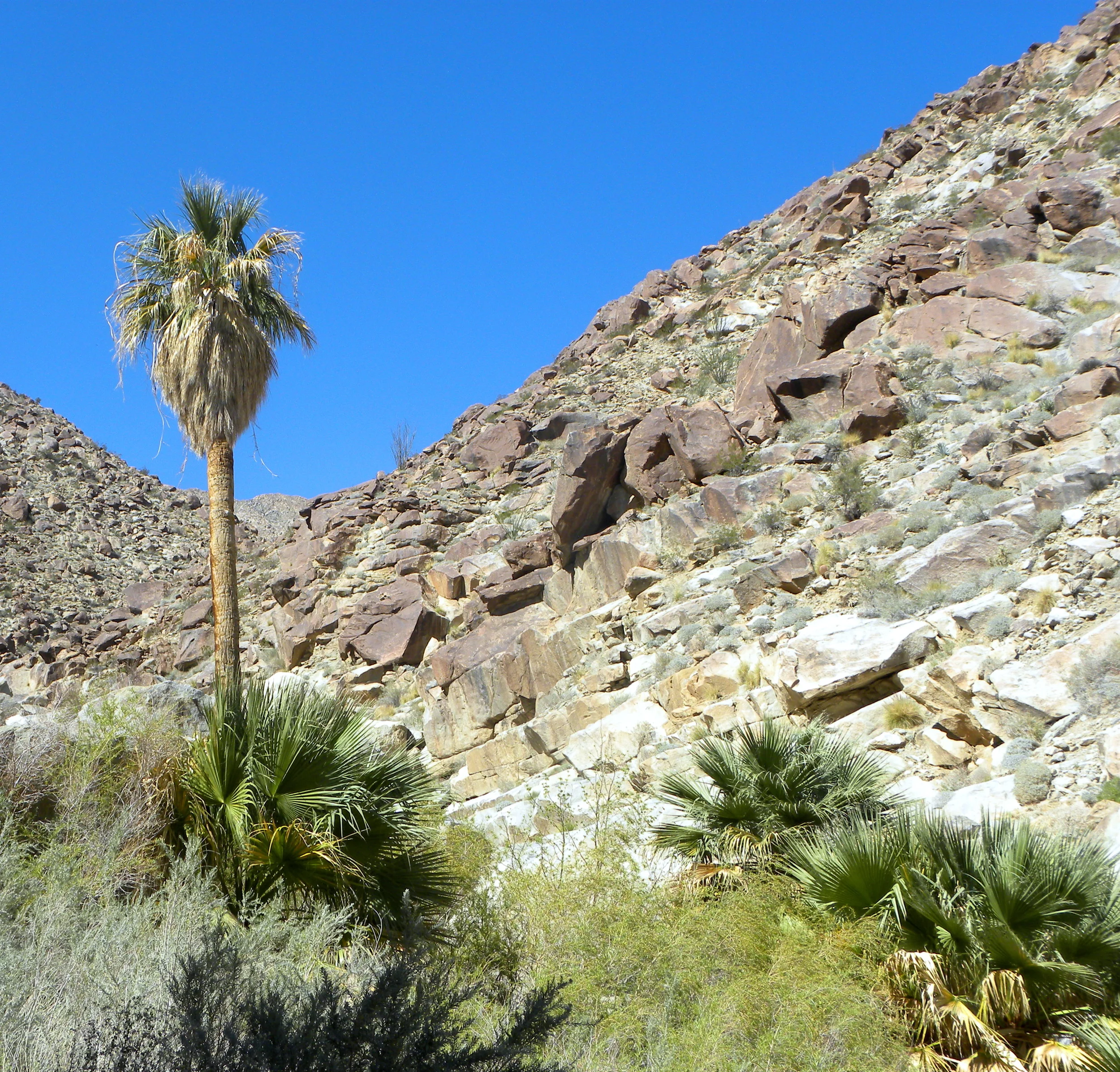 DSCN2032XXSMx 49.JPG