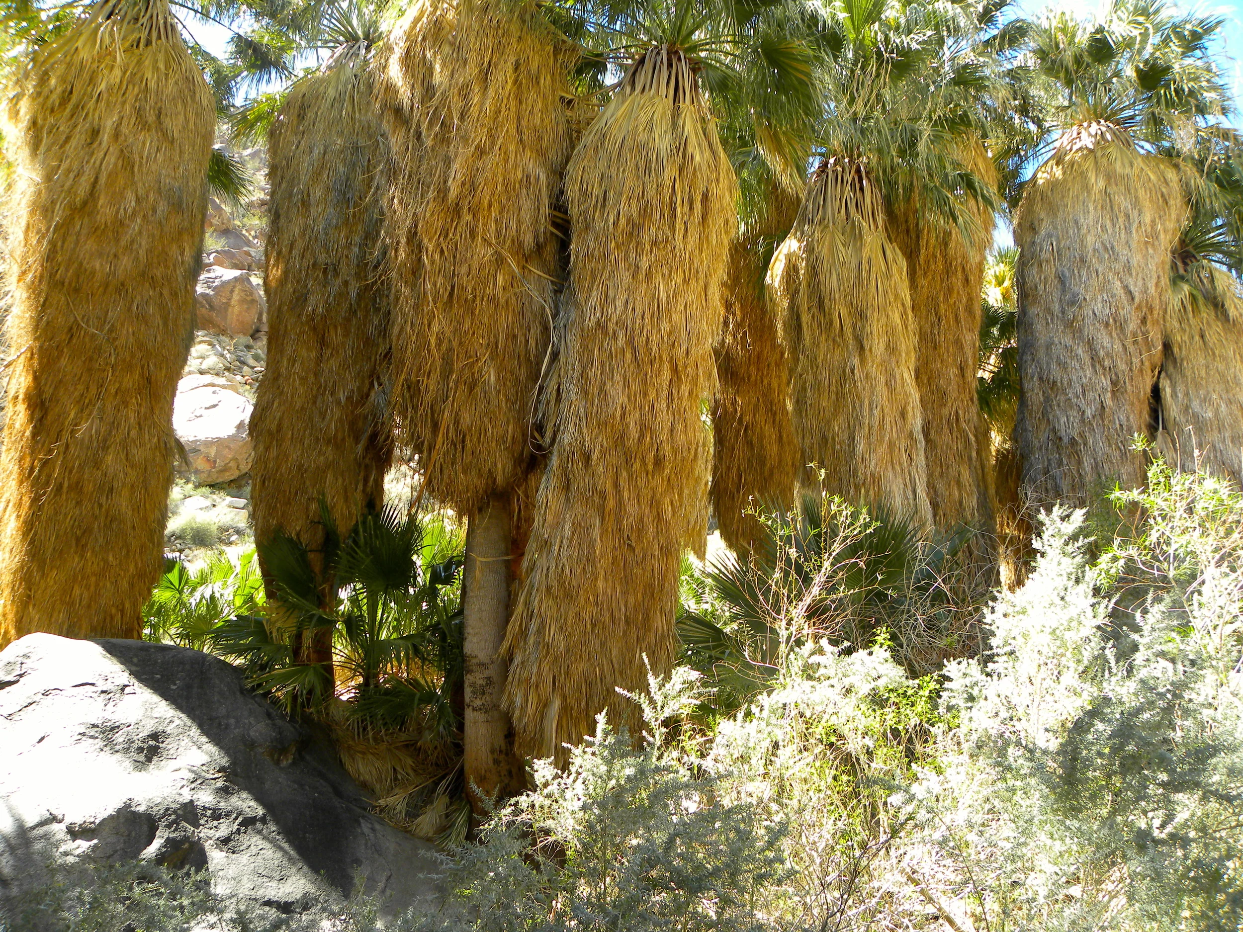 DSCN2032XXSMx 48.JPG