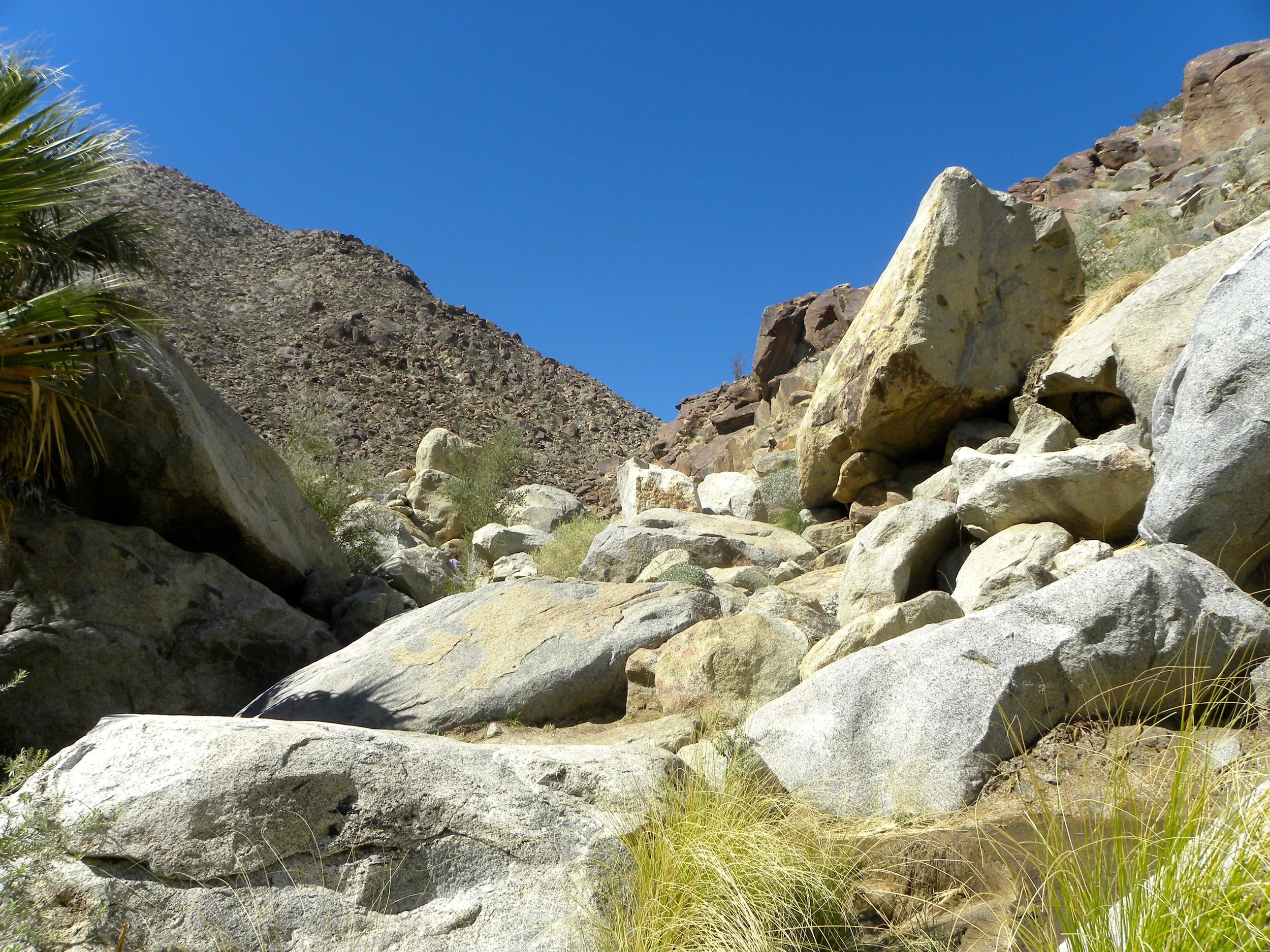 DSCN2032XXSMx 51.JPG