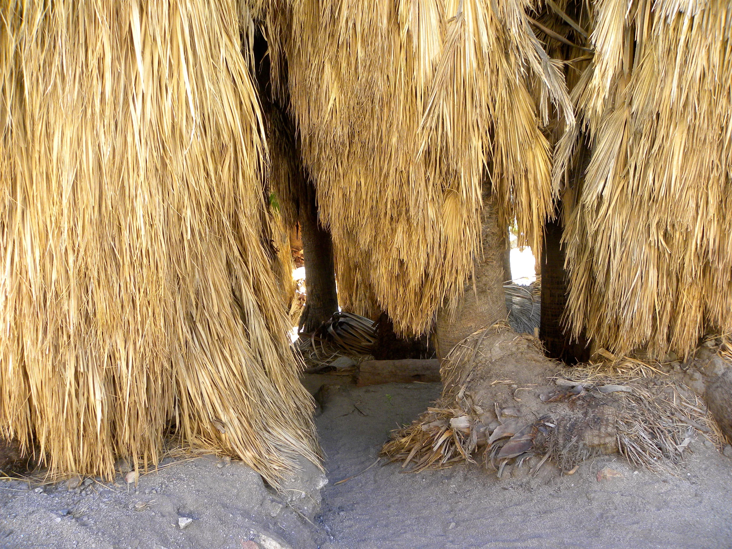 DSCN2032XXSMx 52.JPG