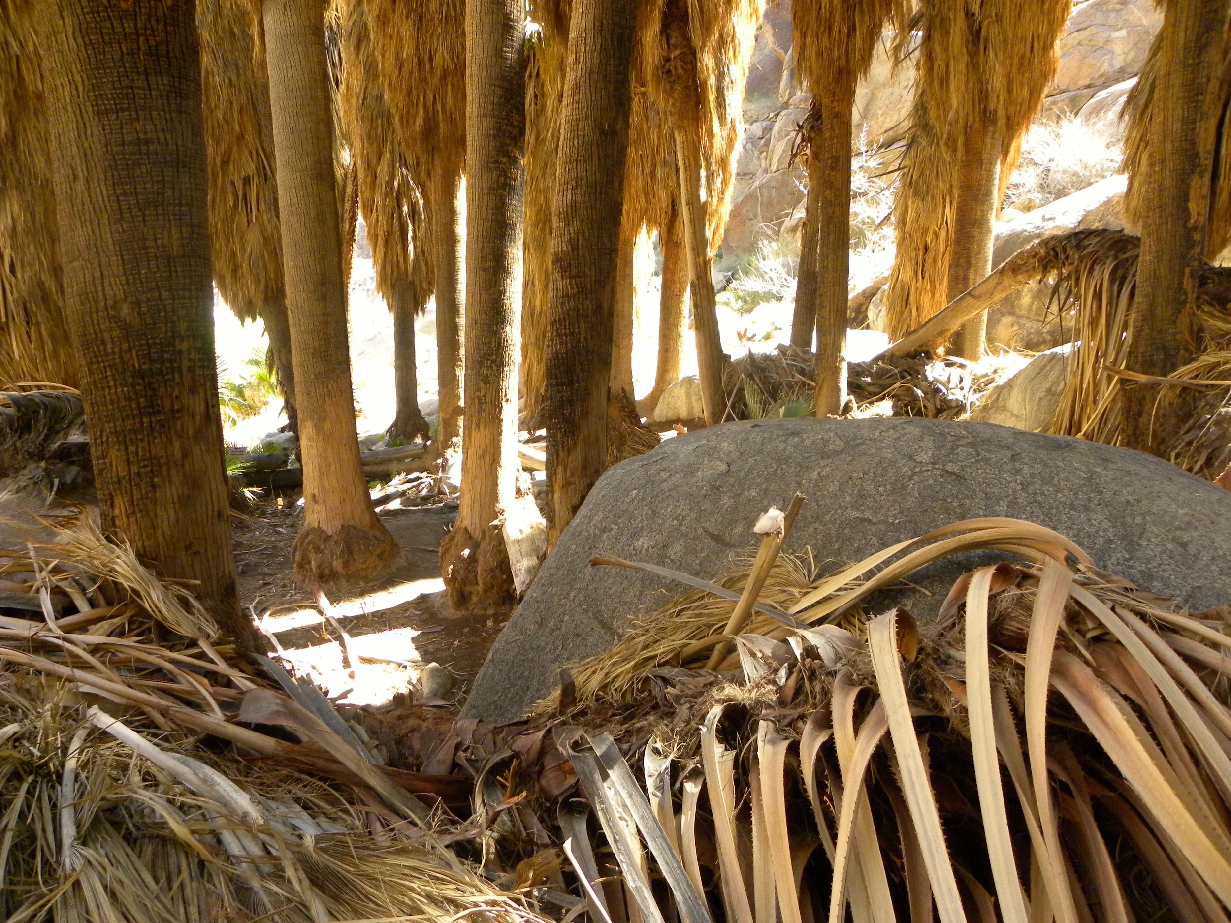 DSCN2032XXSMx 53.JPG