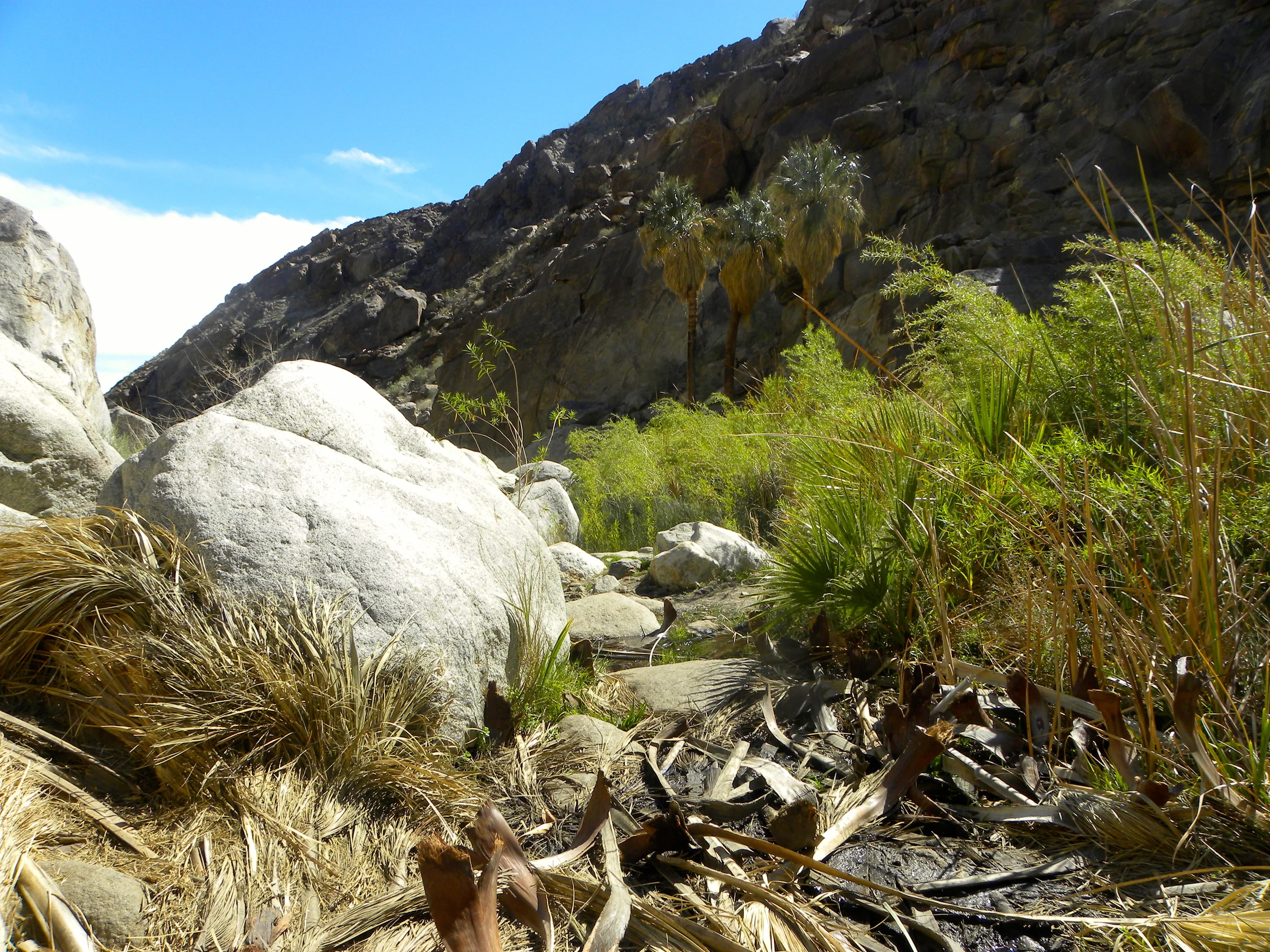 DSCN2032XXSMx 54.JPG