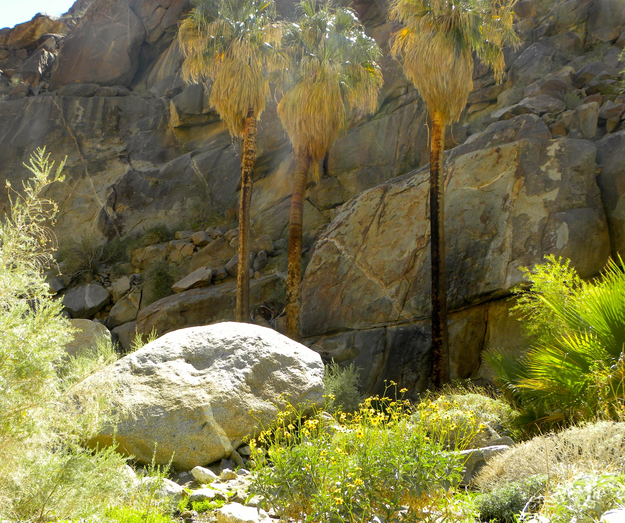 DSCN2032XXSMx 55.JPG