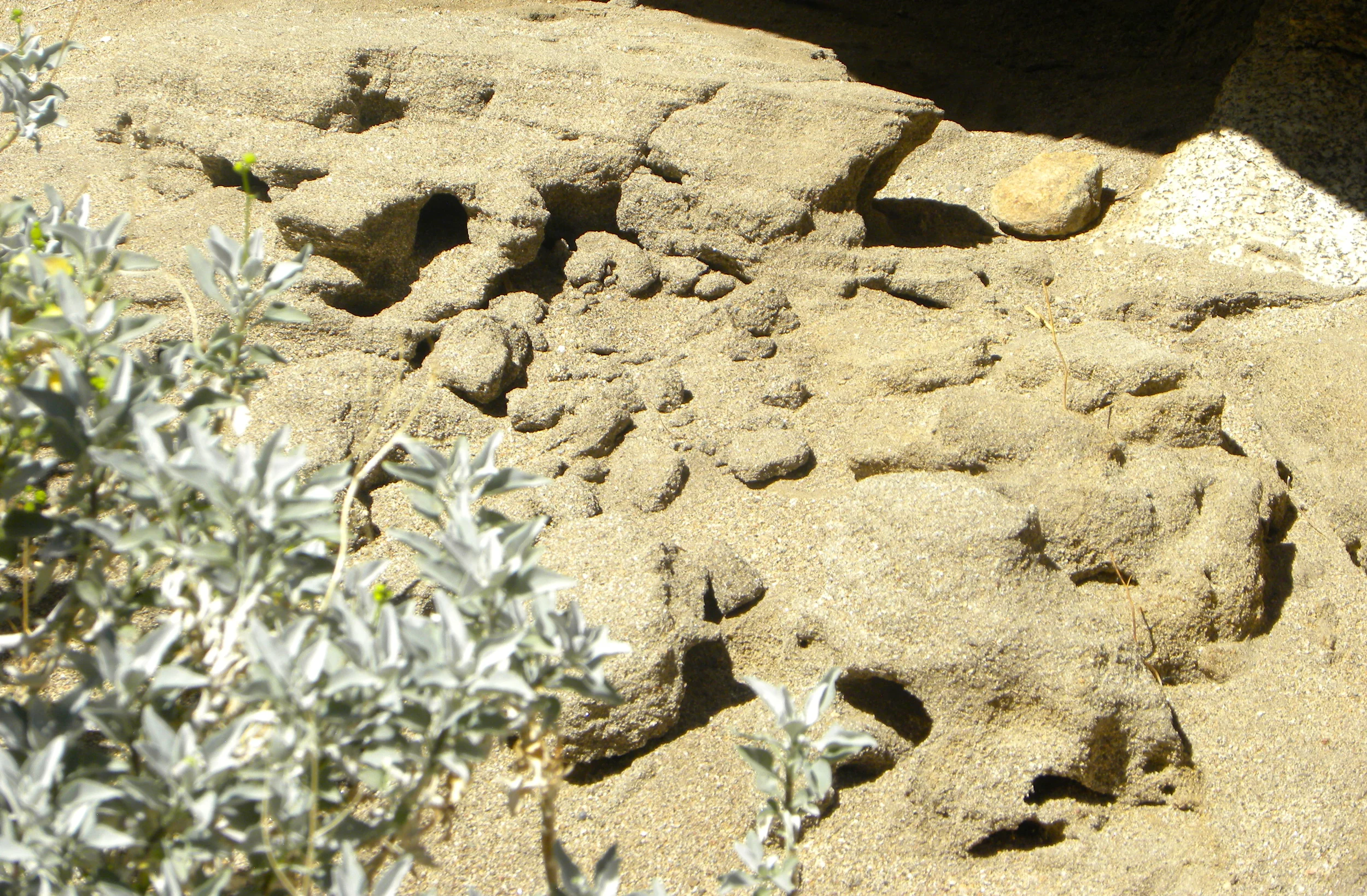 DSCN2032XXSMx 56.JPG