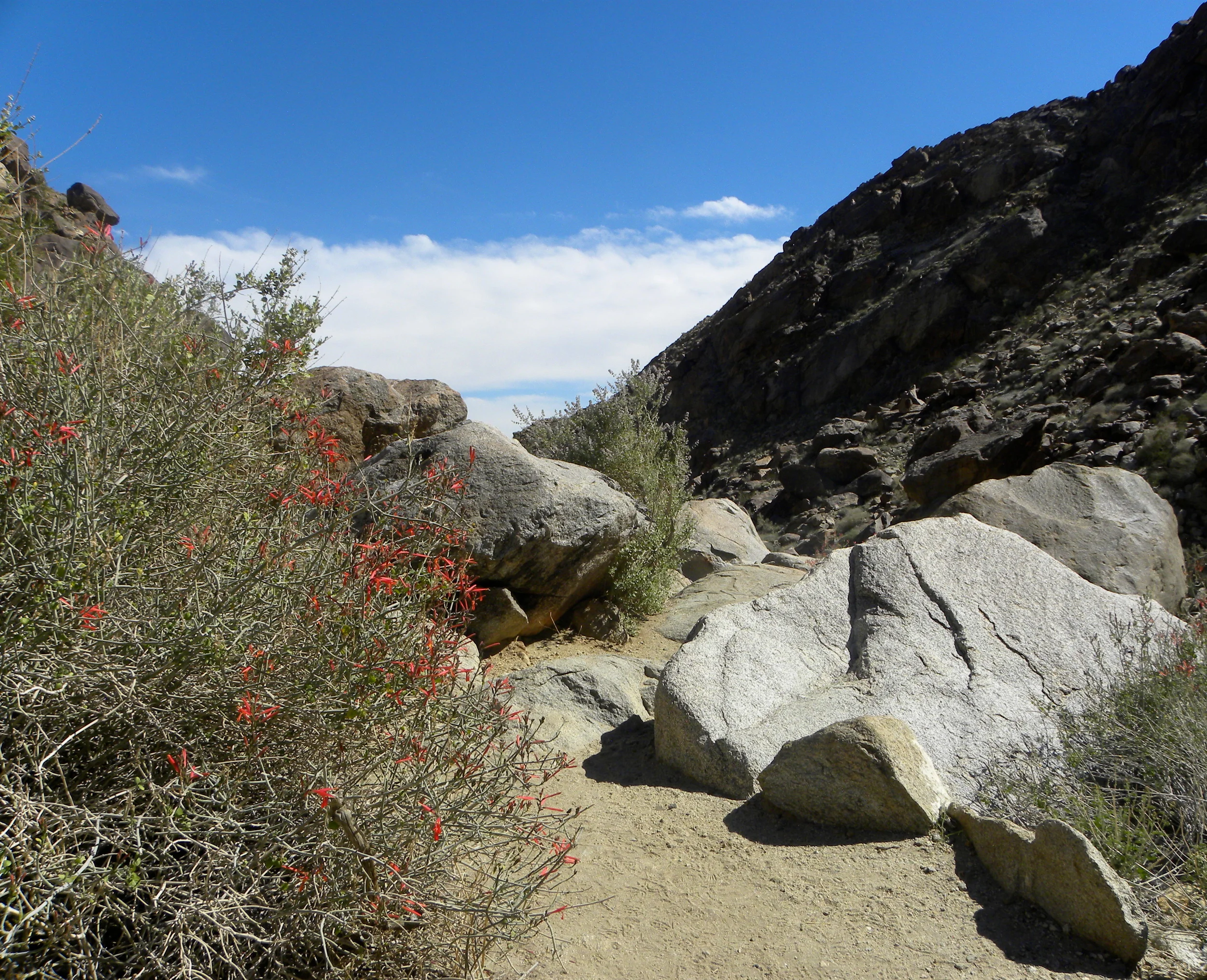 DSCN2032XXSMx 58.JPG