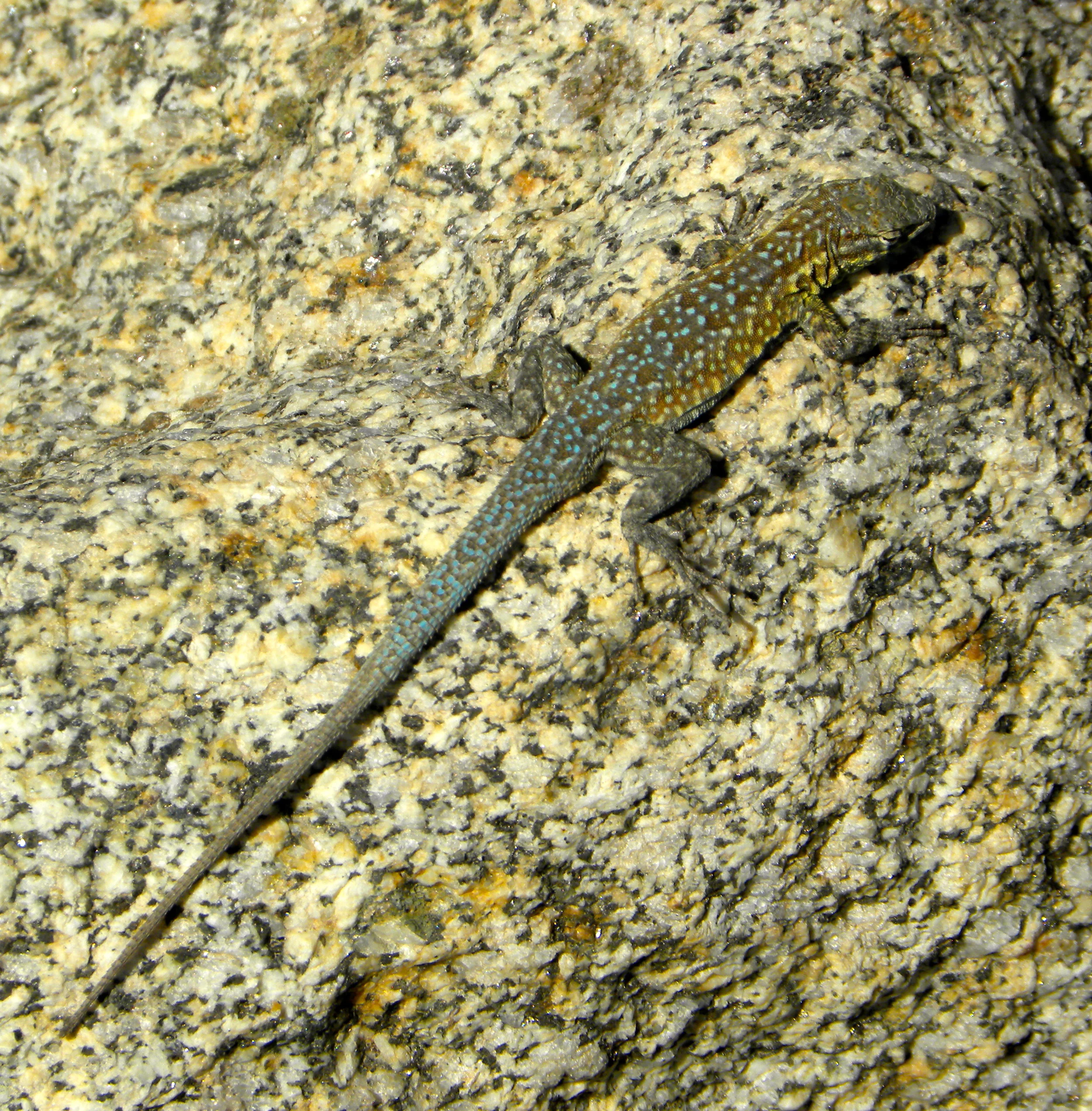 DSCN2032XXSMx 57.JPG