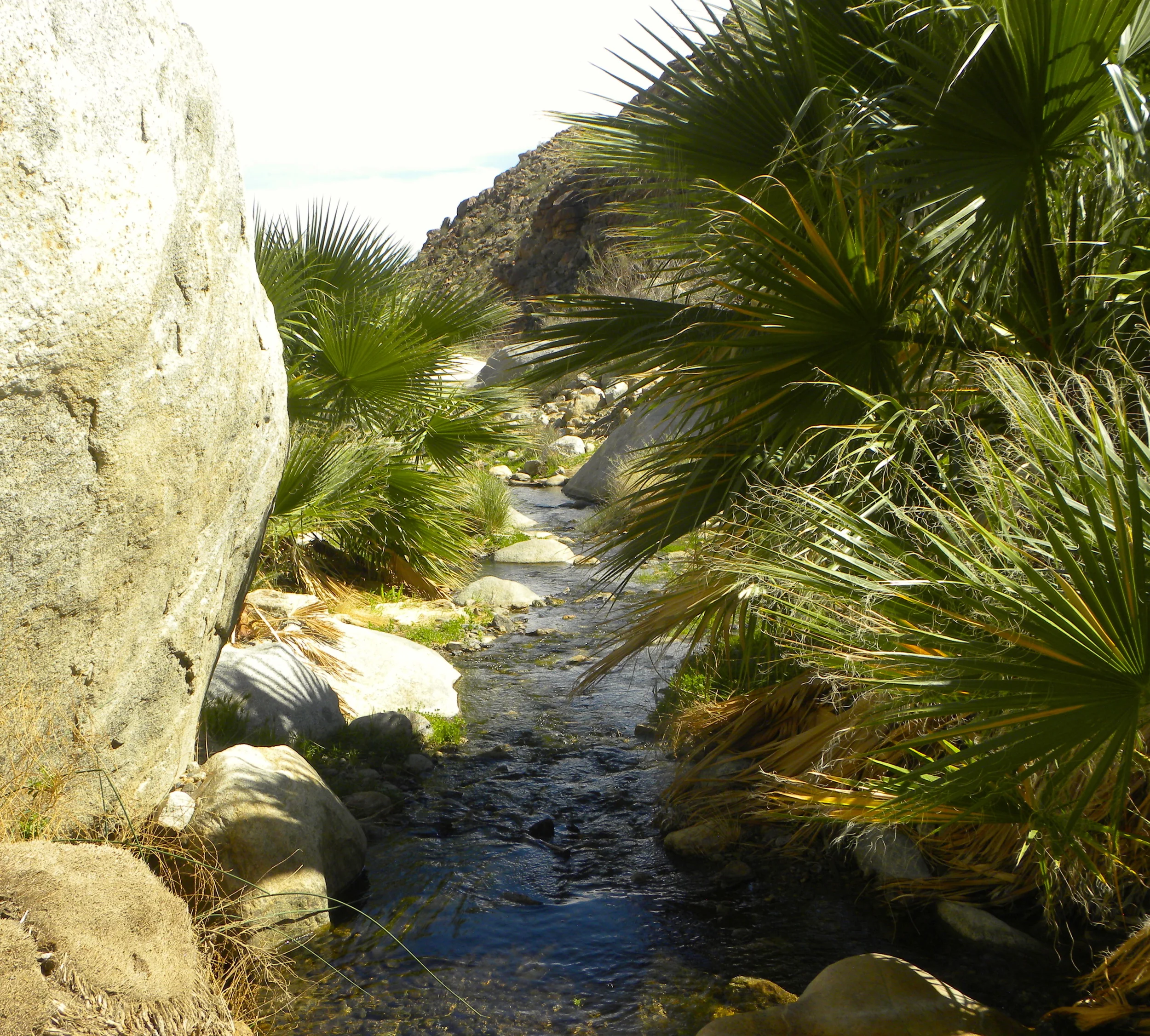 DSCN2032XXSMx 59.JPG