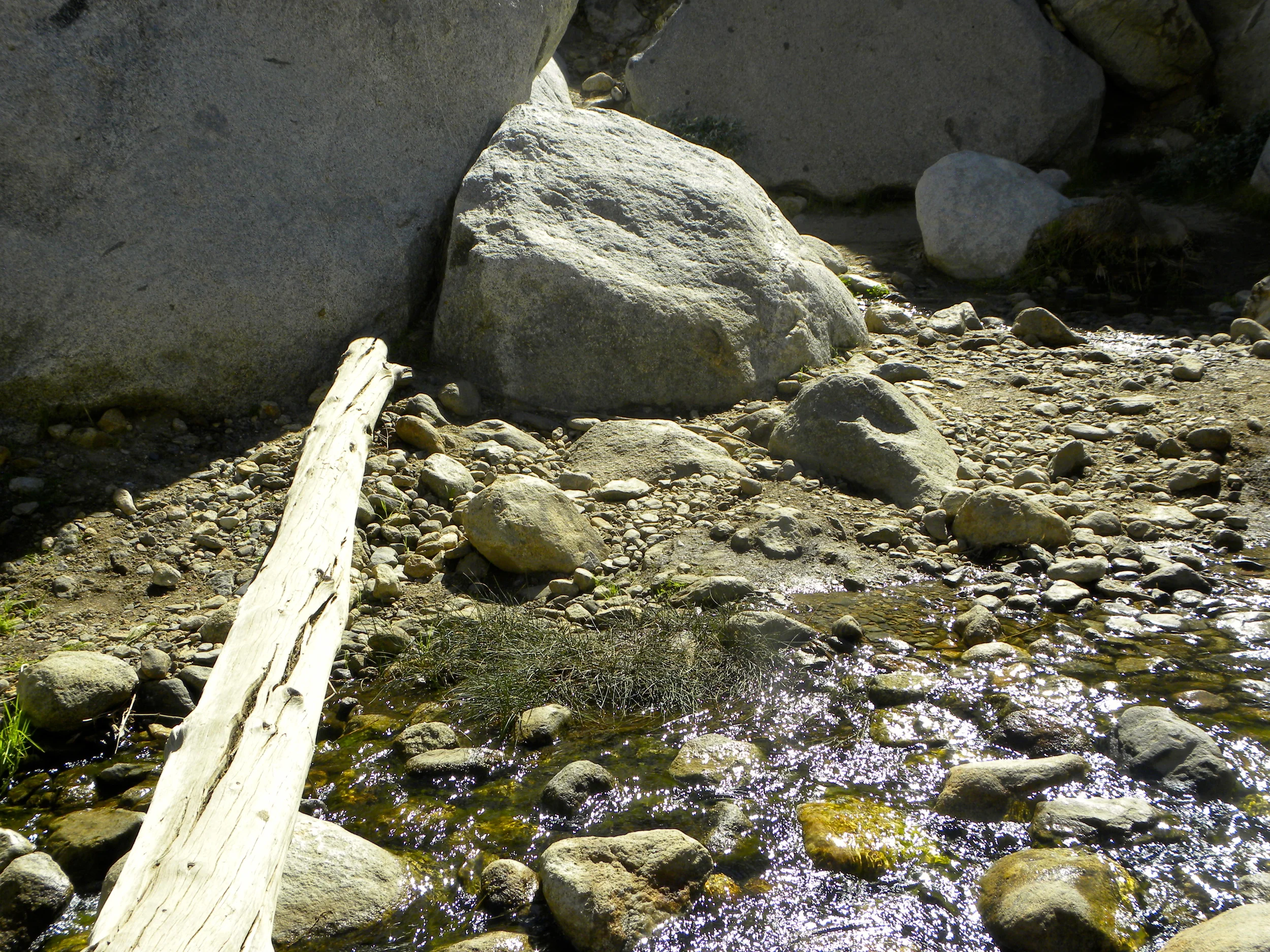 DSCN2032XXSMx 60.JPG