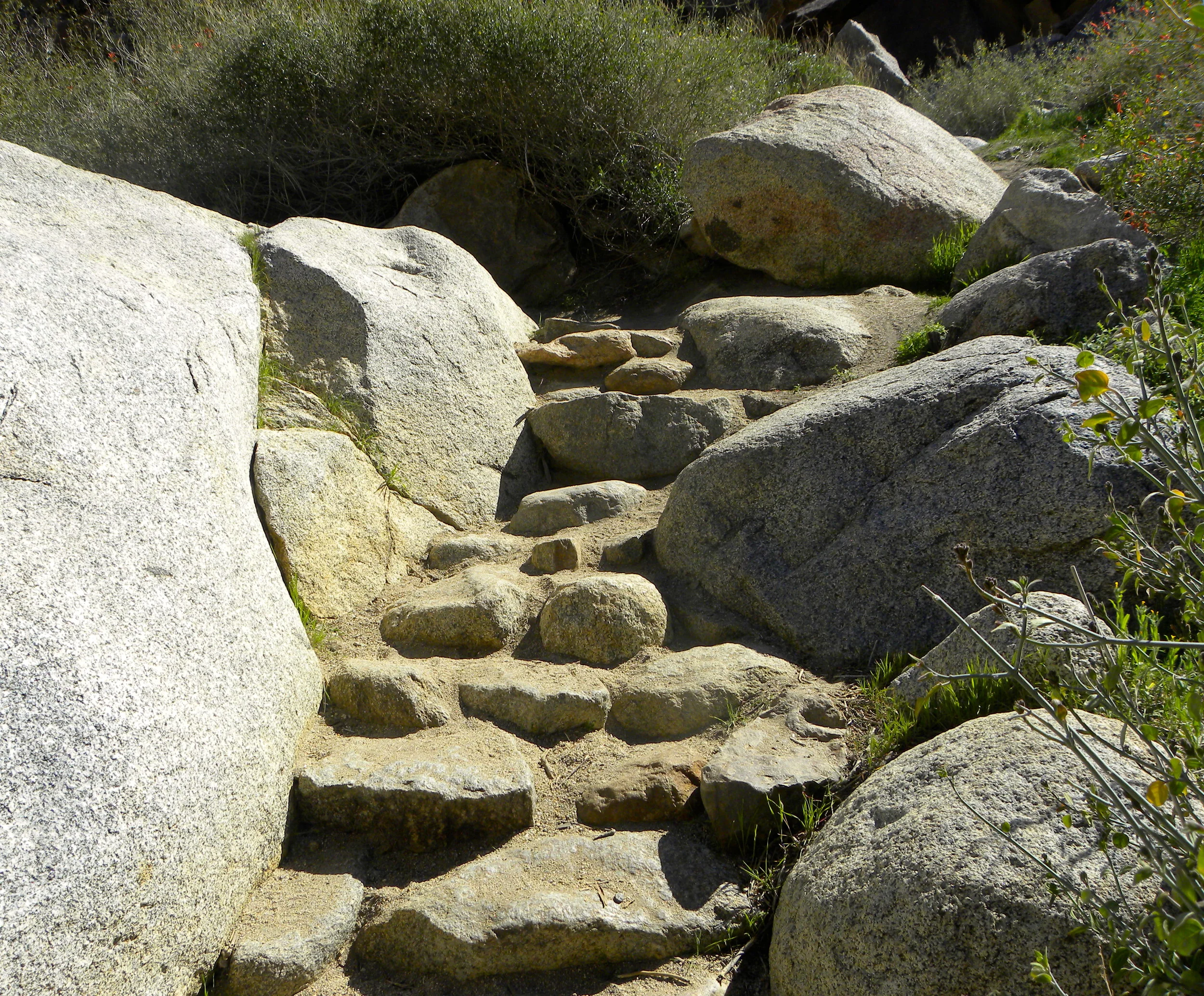 DSCN2032XXSMx 62.JPG