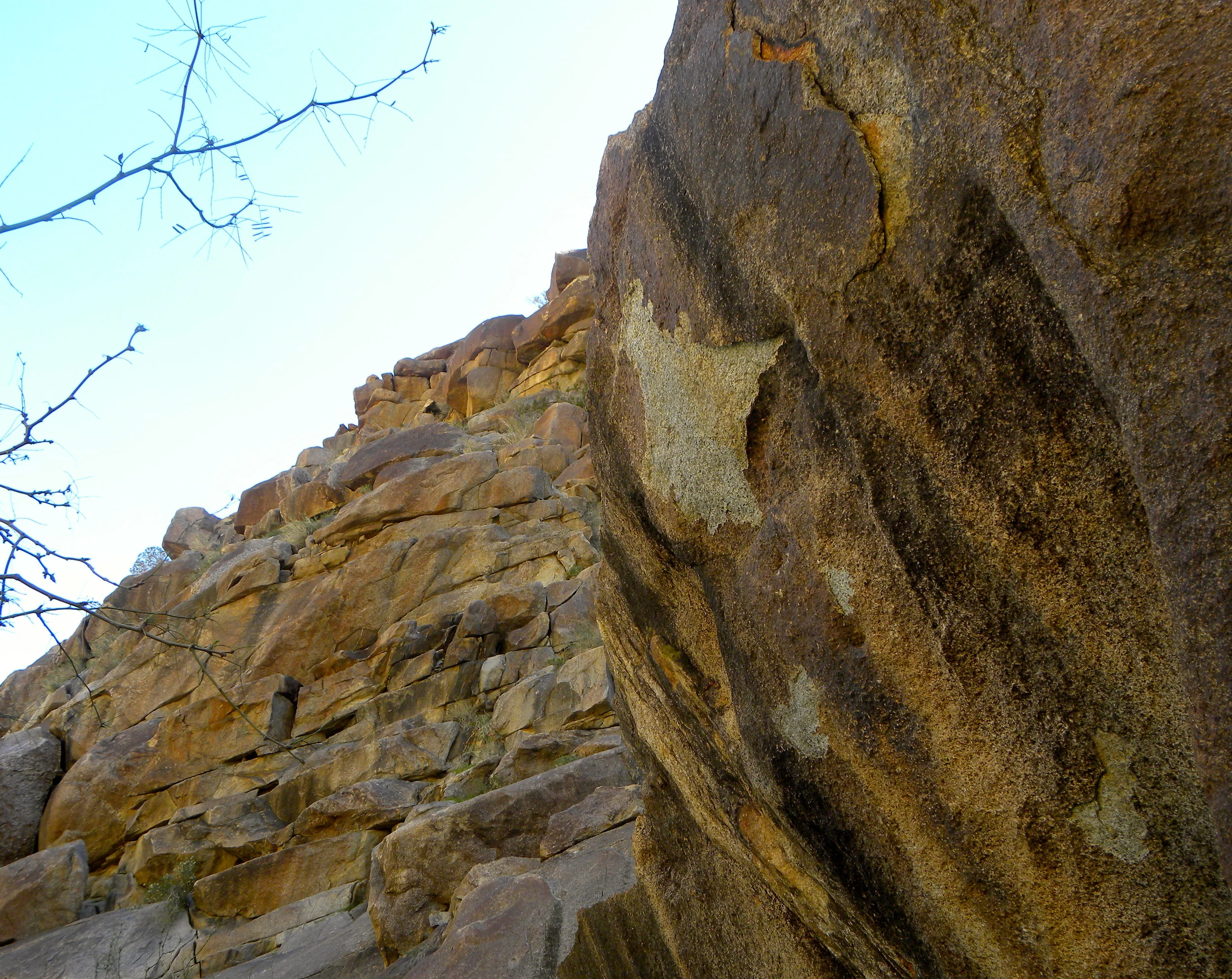 DSCN2032XXSMx 64.JPG