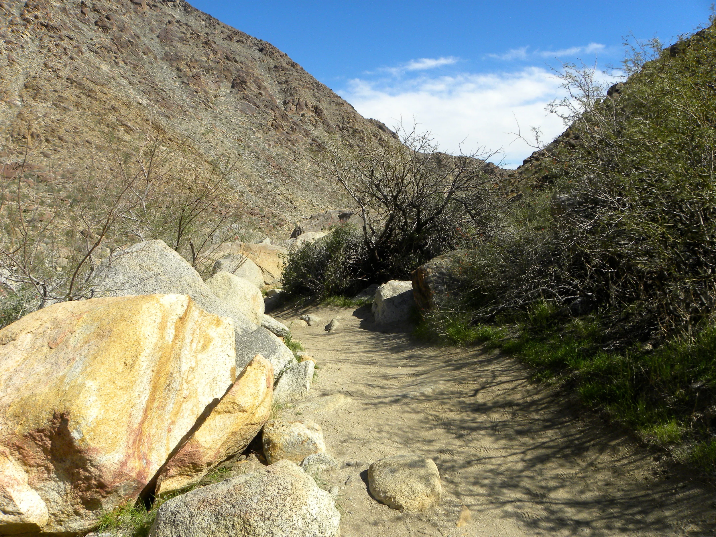 DSCN2032XXSMx 63.JPG