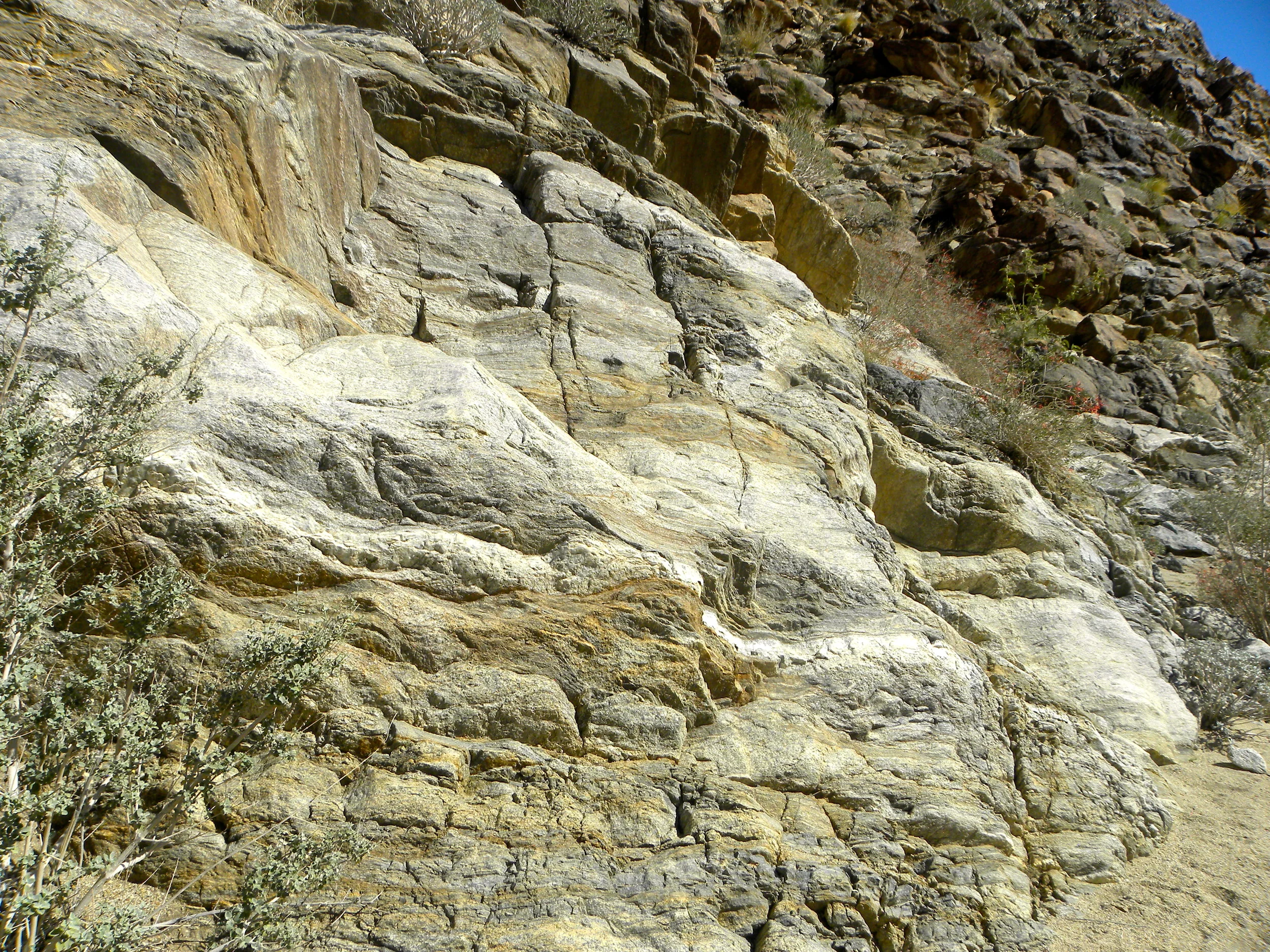 DSCN2032XXSMx 10.JPG