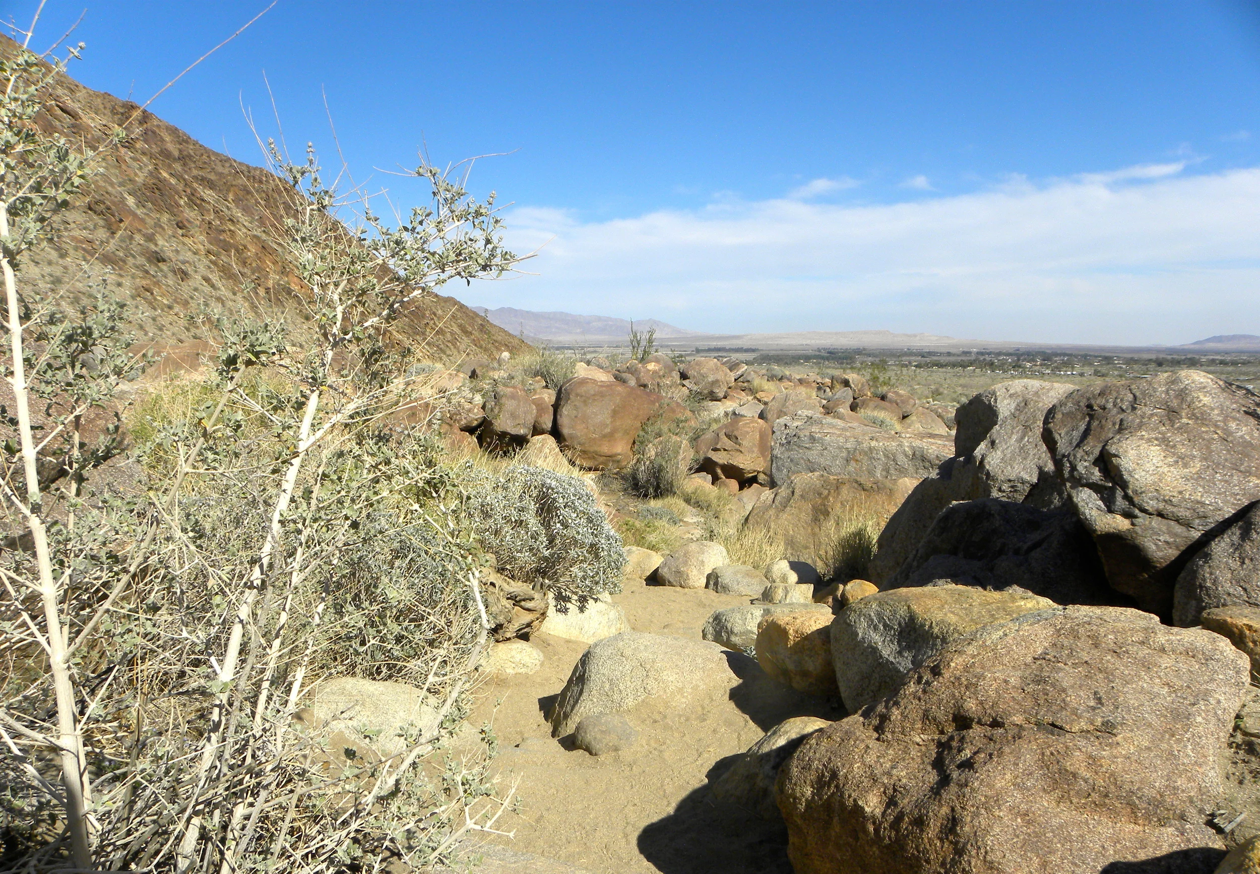 DSCN2032XXSMx 11.JPG