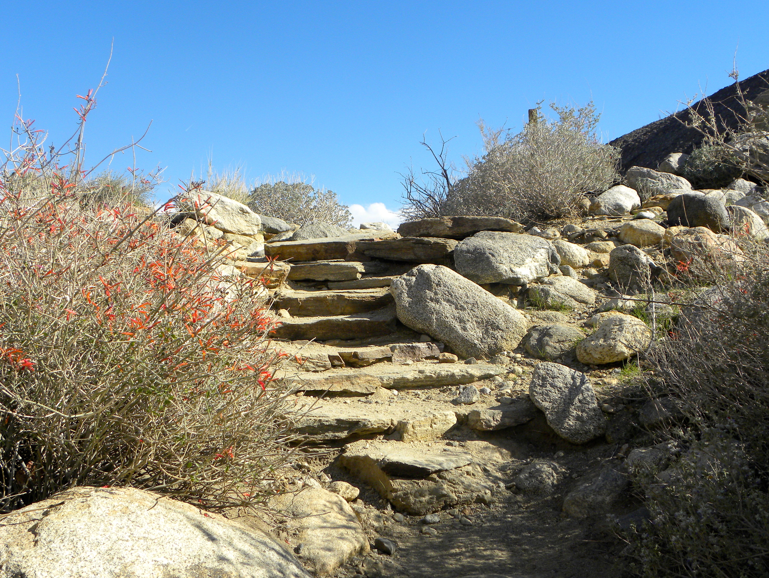 DSCN2032XXSMx 13.JPG