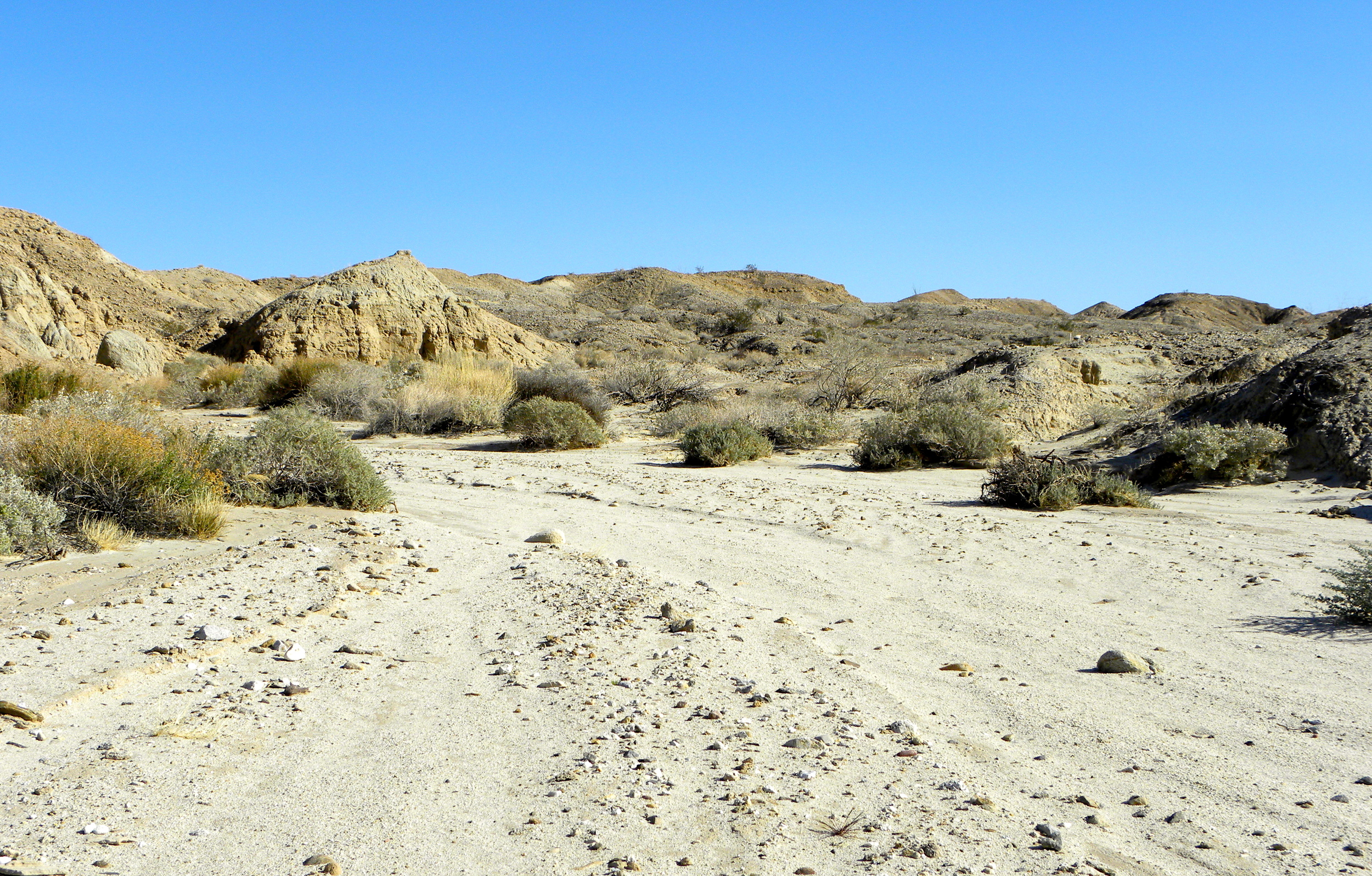 DSCN2032XXSMx 13.JPG