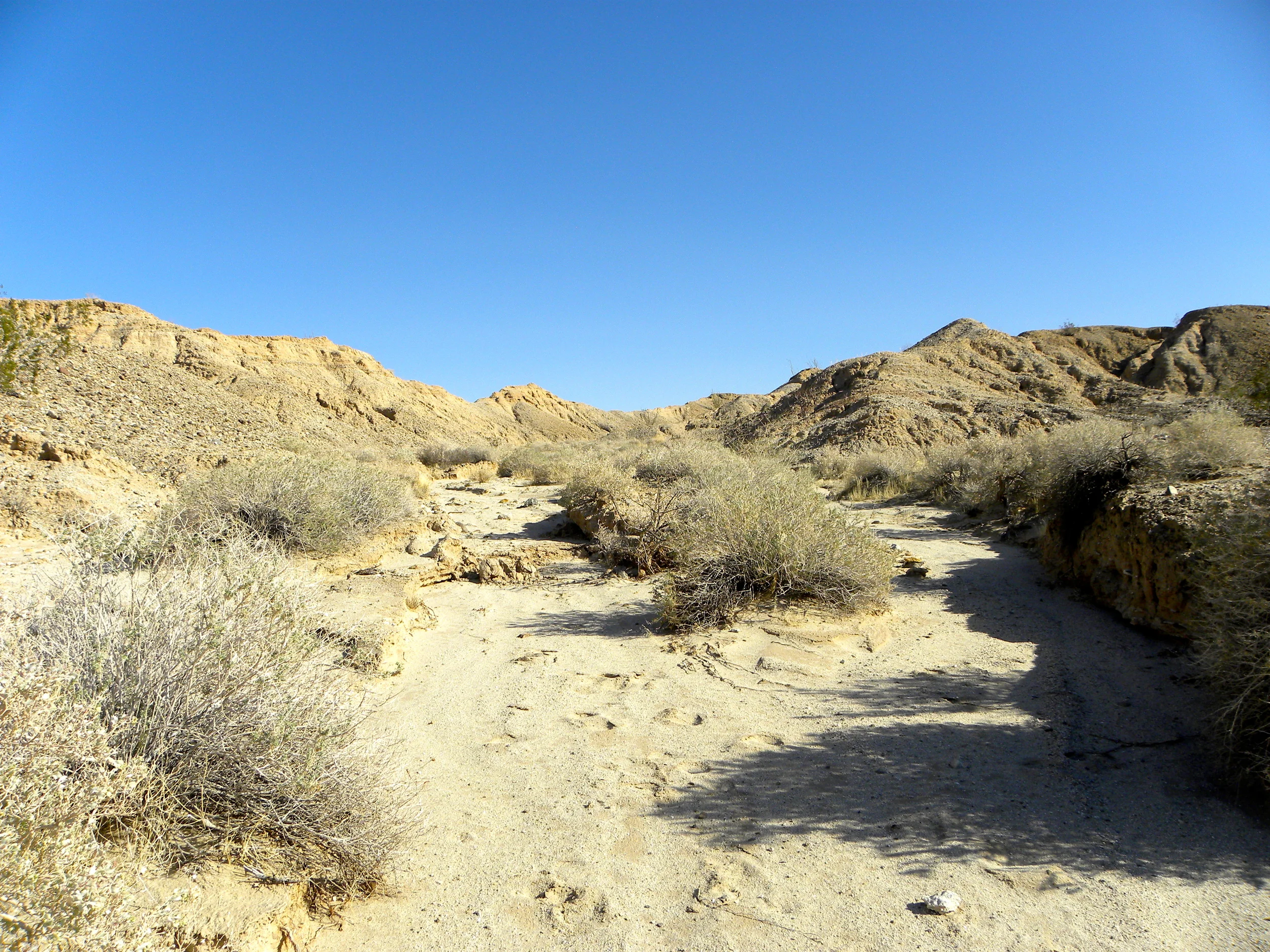 DSCN2032XXSMx 14.JPG