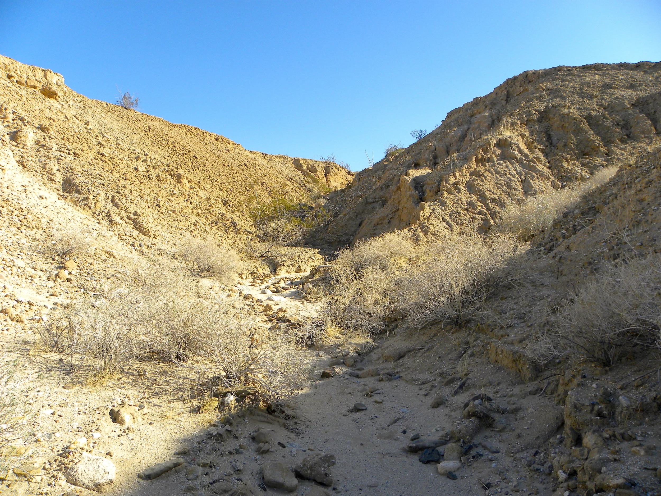 DSCN2032XXSMx 15.JPG