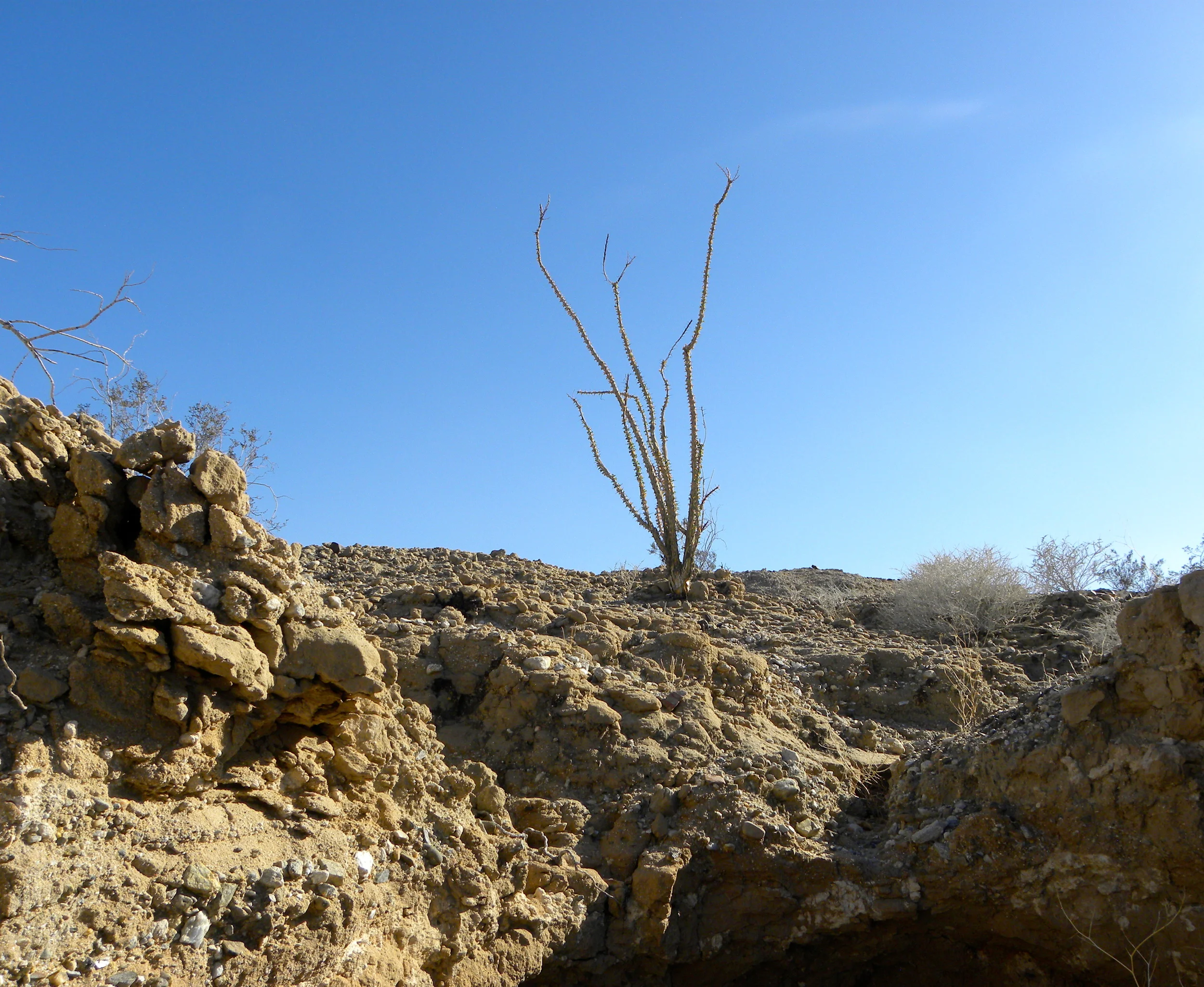 DSCN2032XXSMx 17.JPG