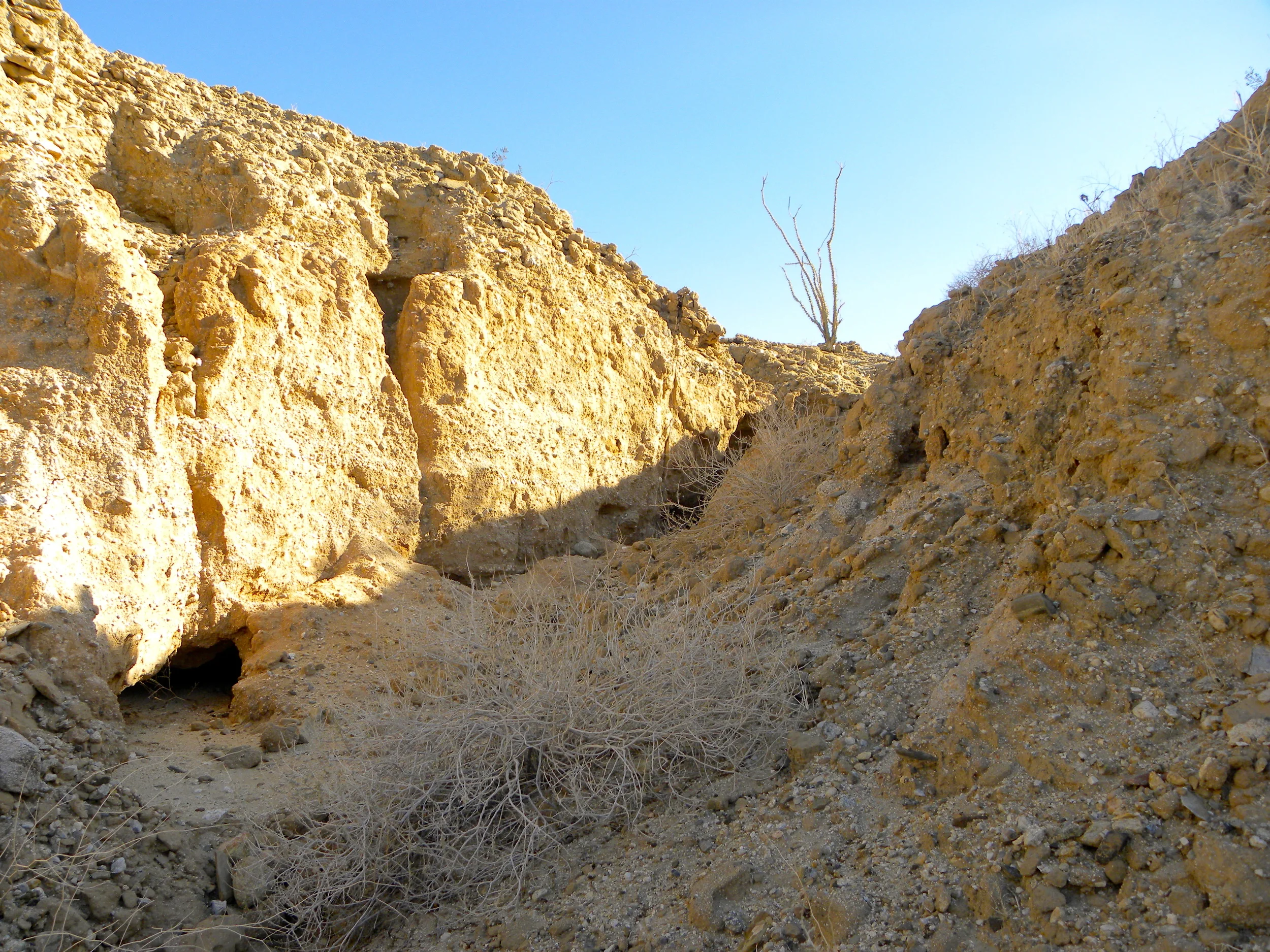 DSCN2032XXSMx 16.JPG