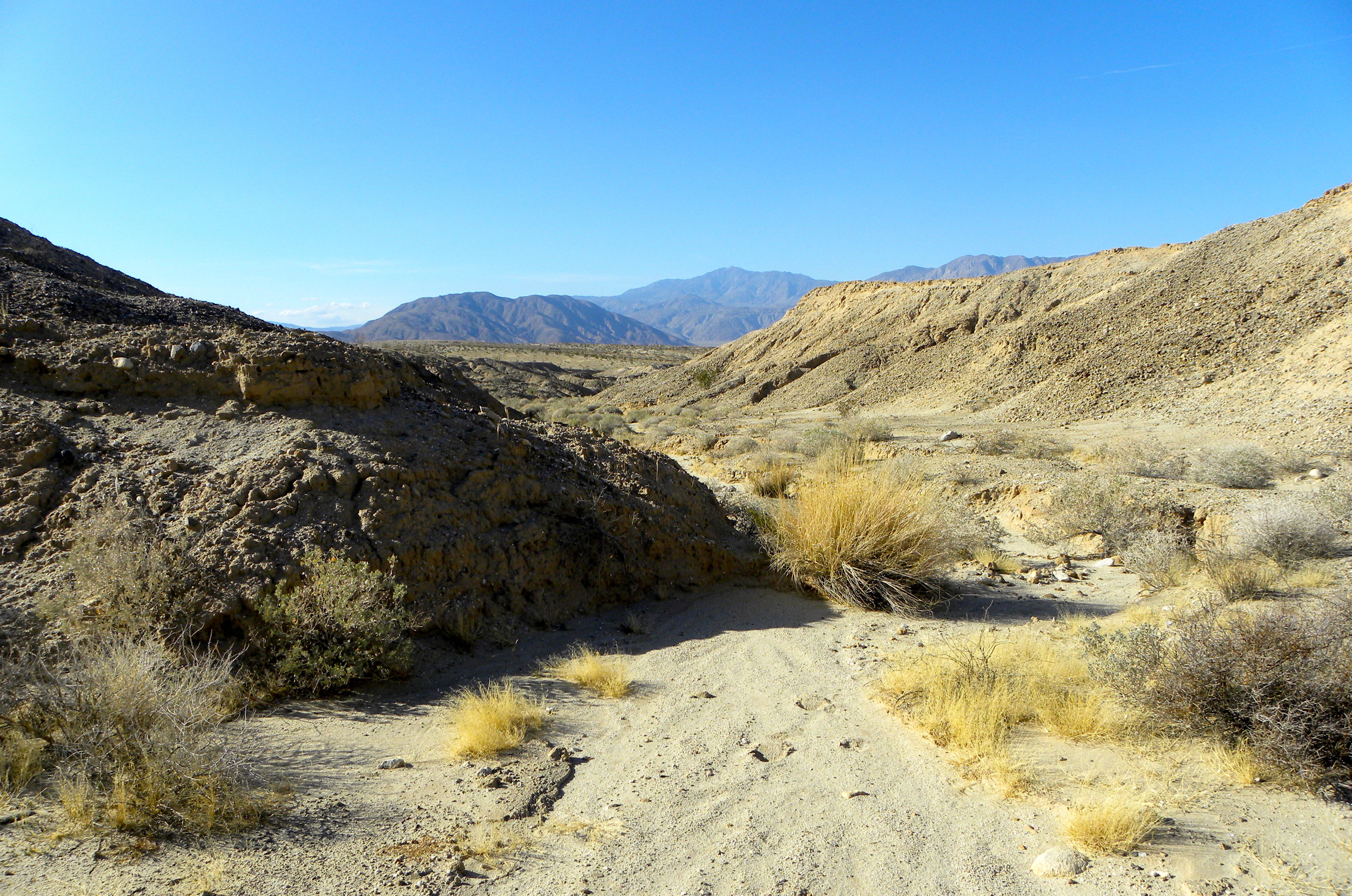 DSCN2032XXSMx 21.JPG