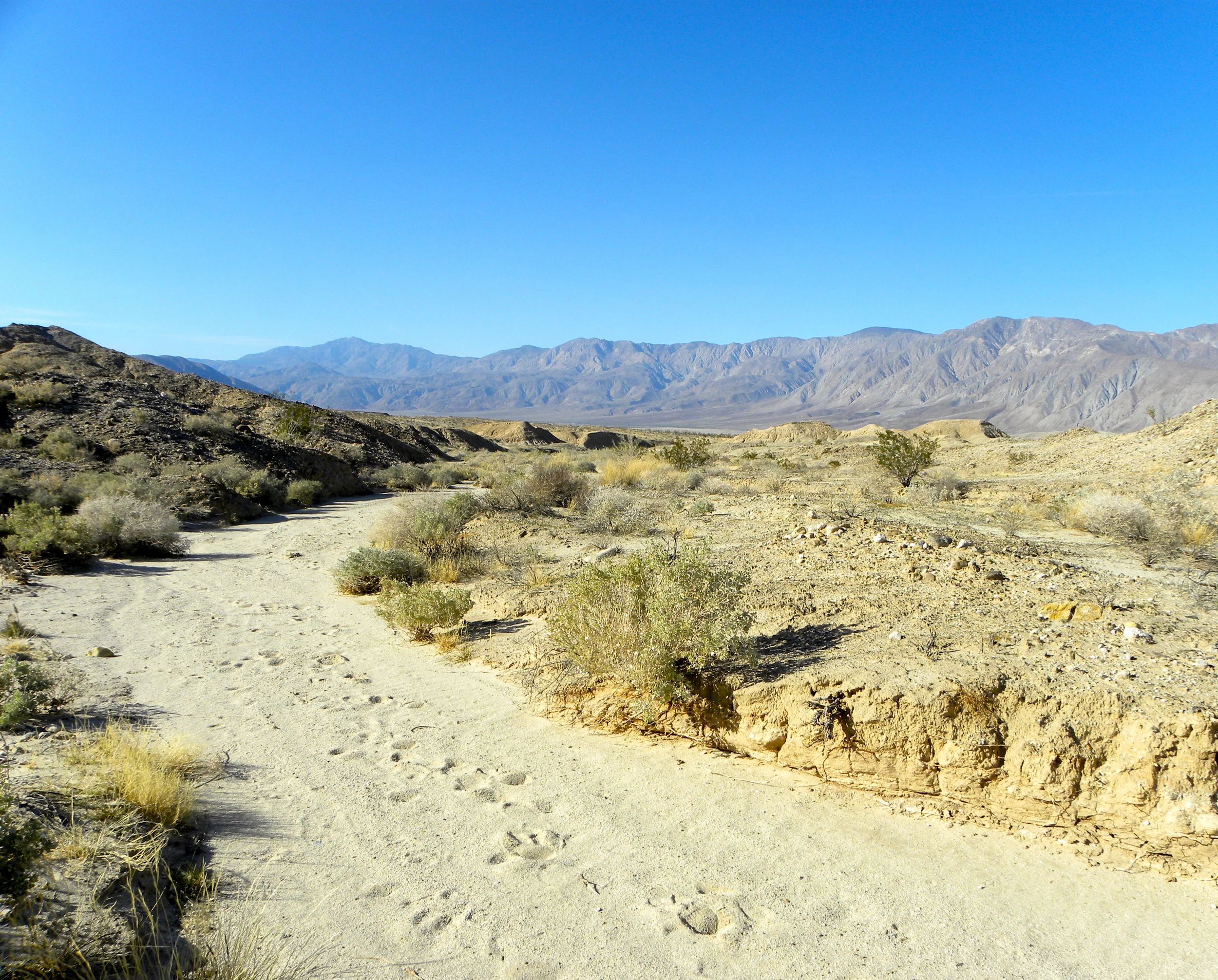 DSCN2032XXSMx 23.JPG