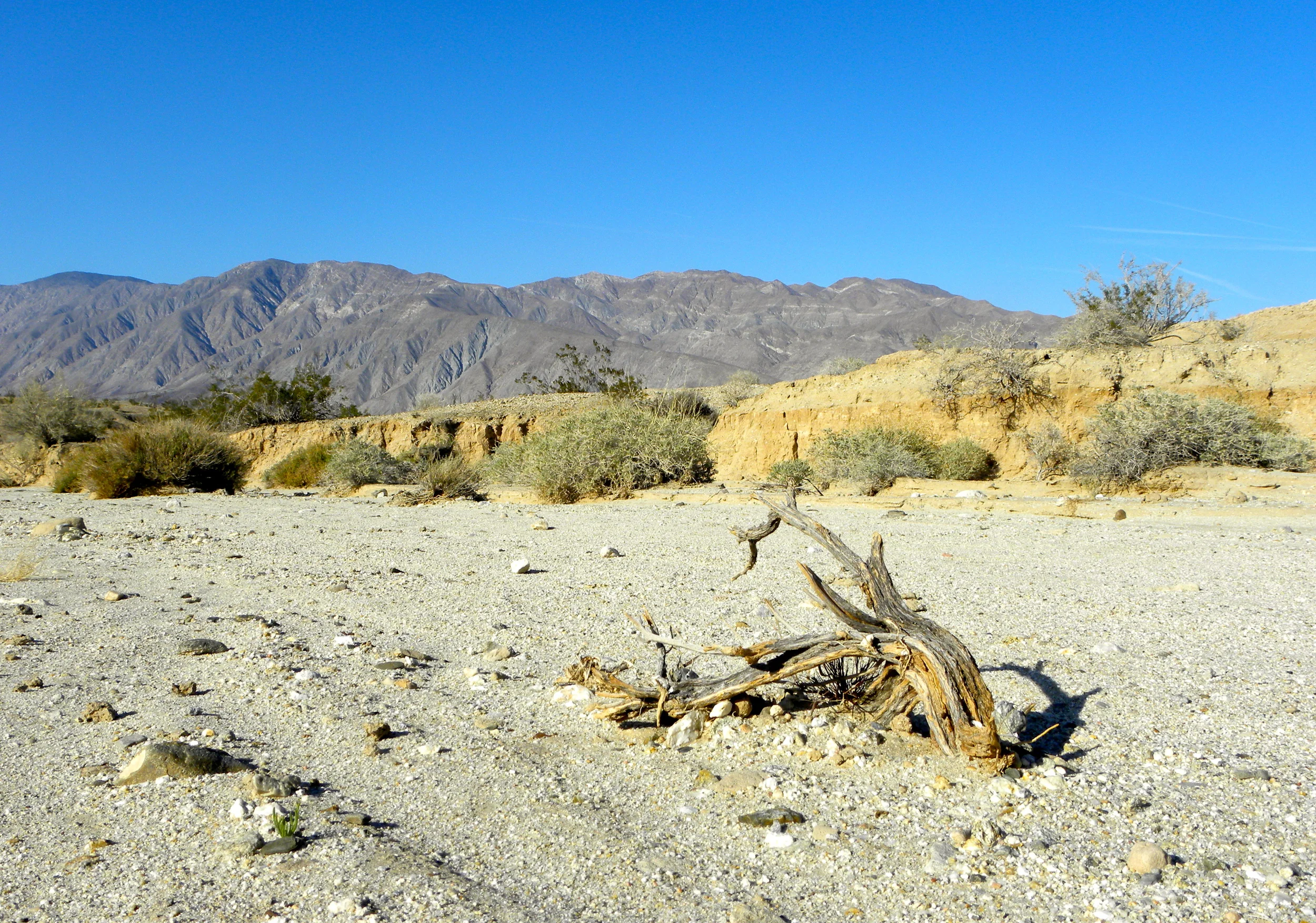 DSCN2032XXSMx 29.JPG