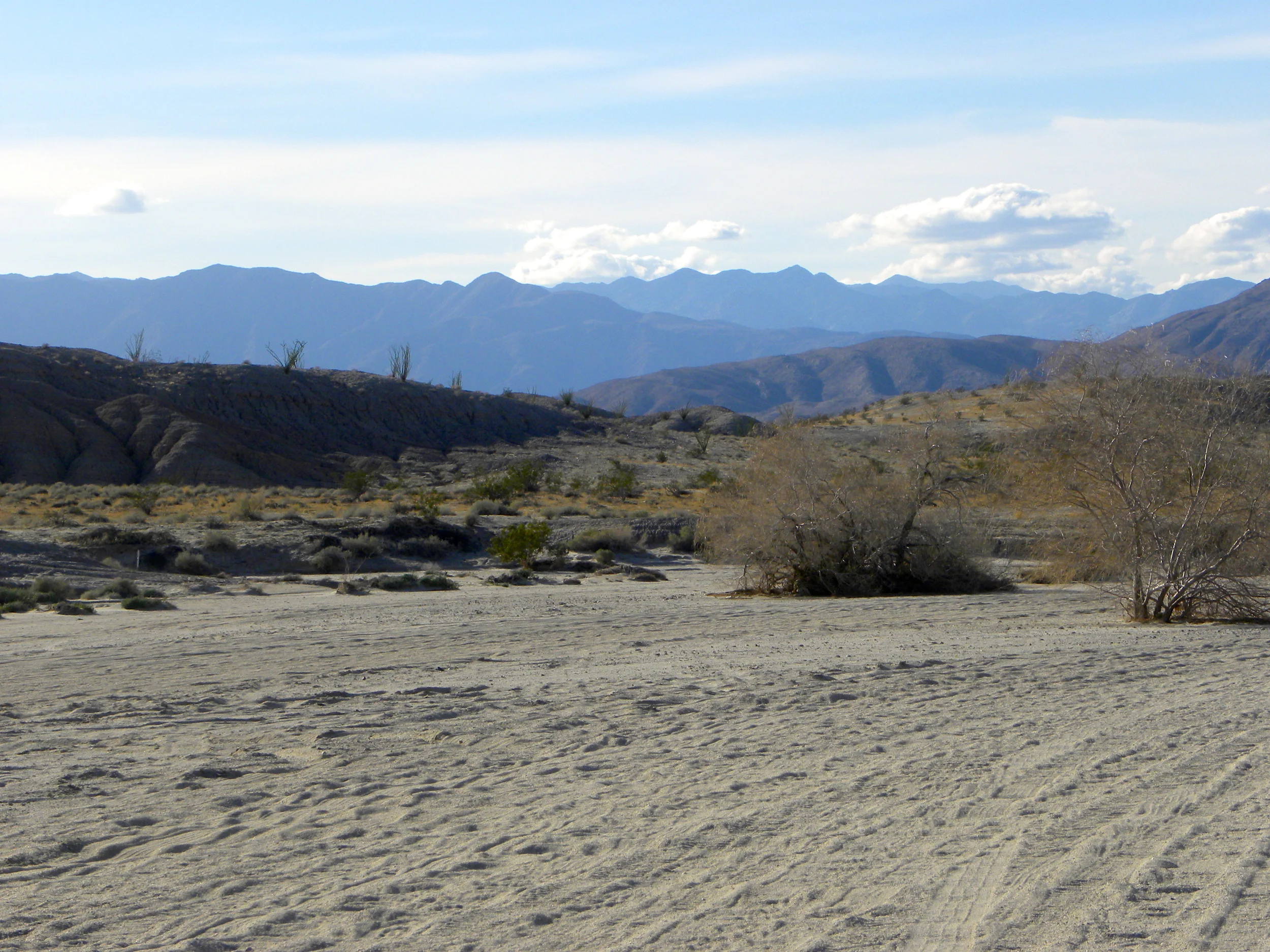 DSCN2032XXSMx 32.JPG