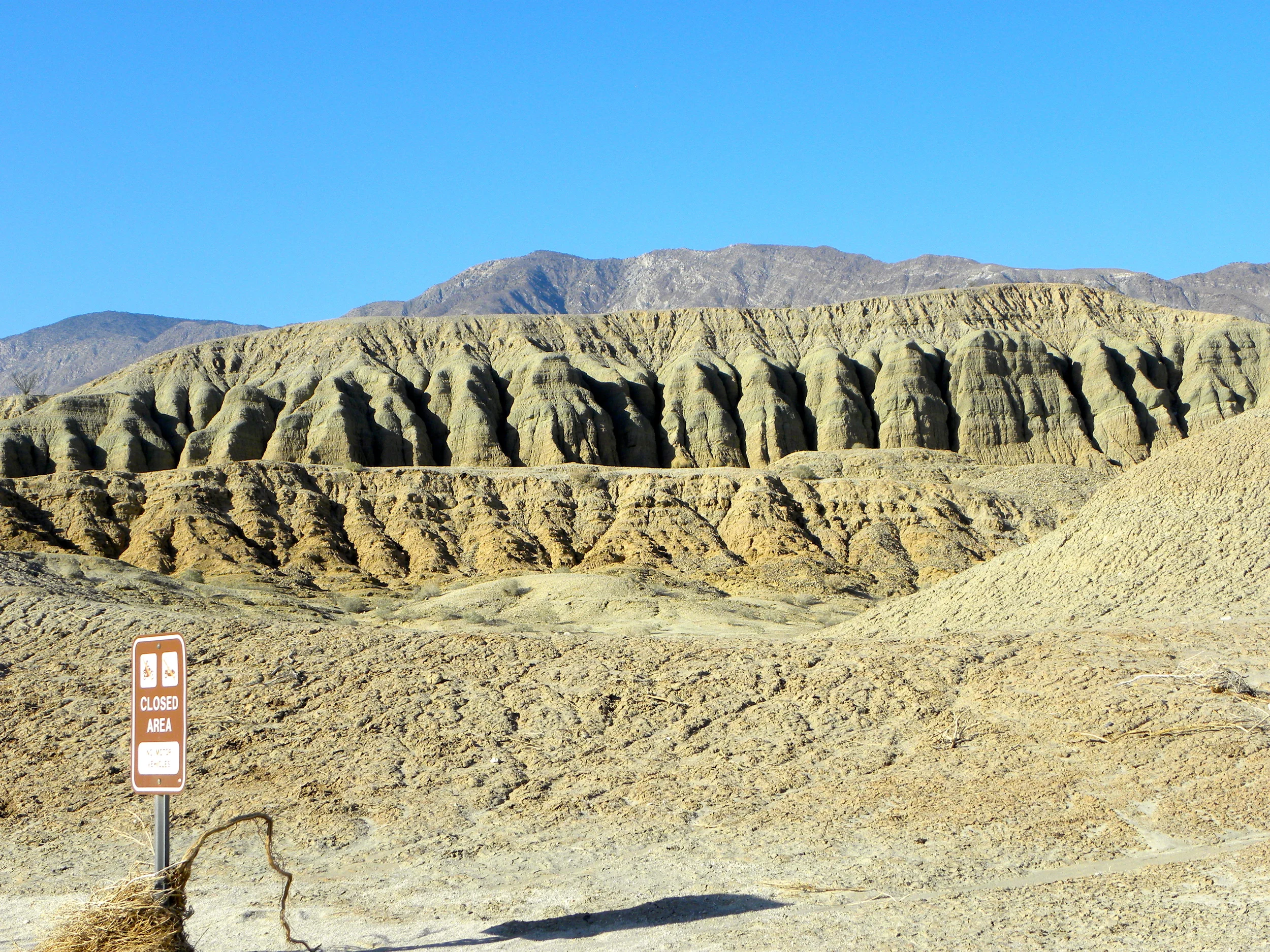 DSCN2032XXSMx 33.JPG