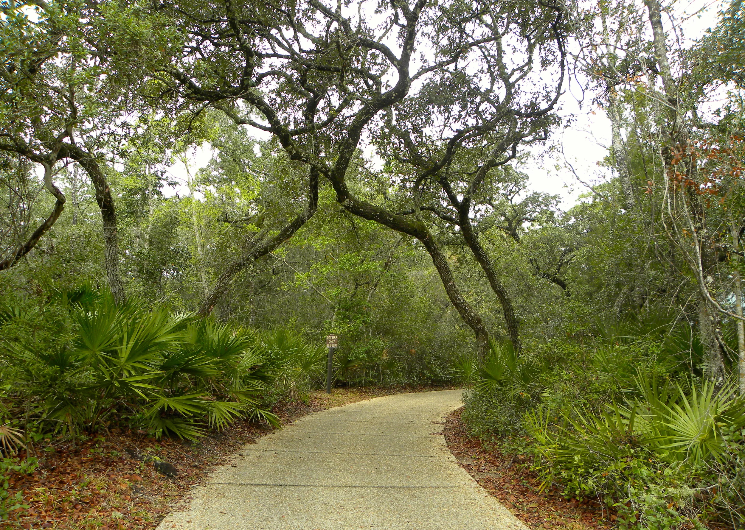 Juniper Springs Trail  - 01.JPG