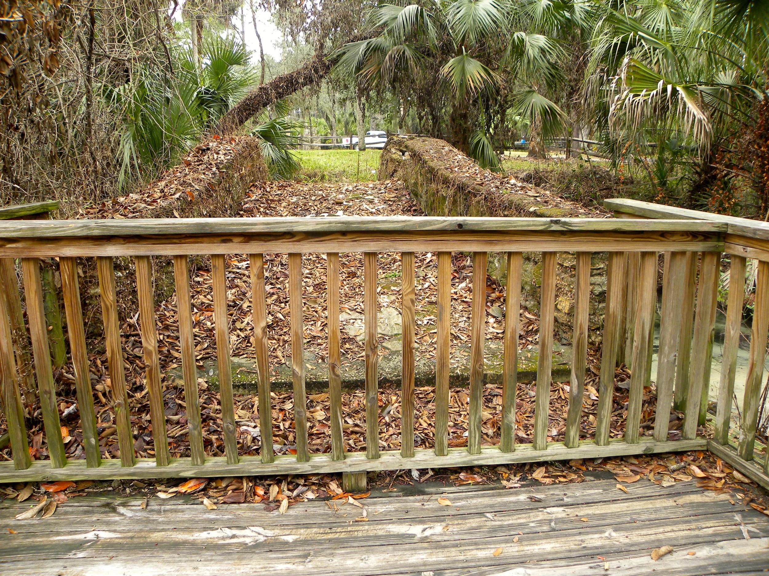 Juniper Springs Trail  - 12.JPG