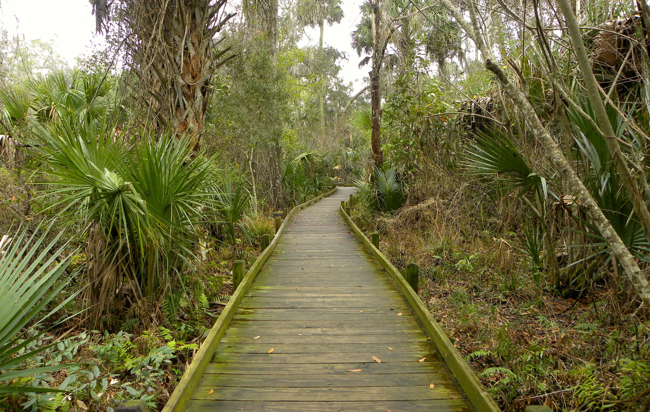 Juniper Springs Trail  - 15.JPG