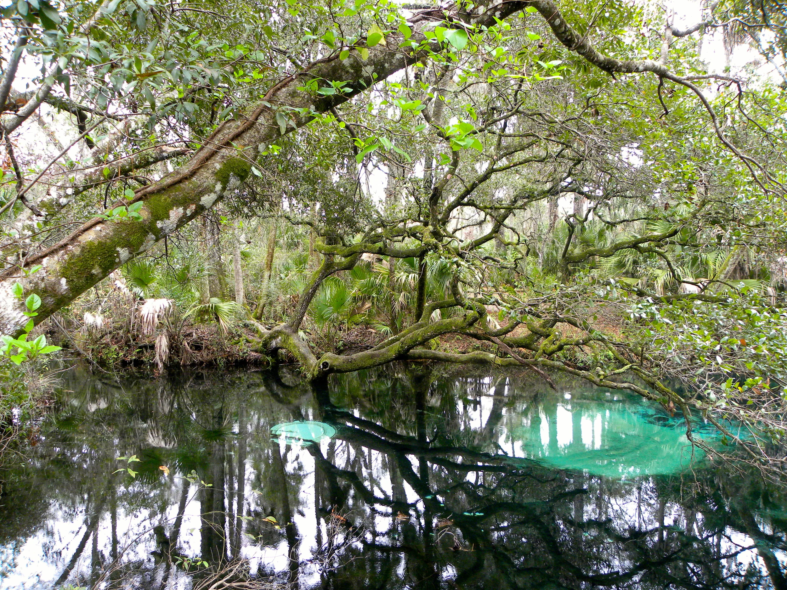 Juniper Springs Trail  - 21.JPG