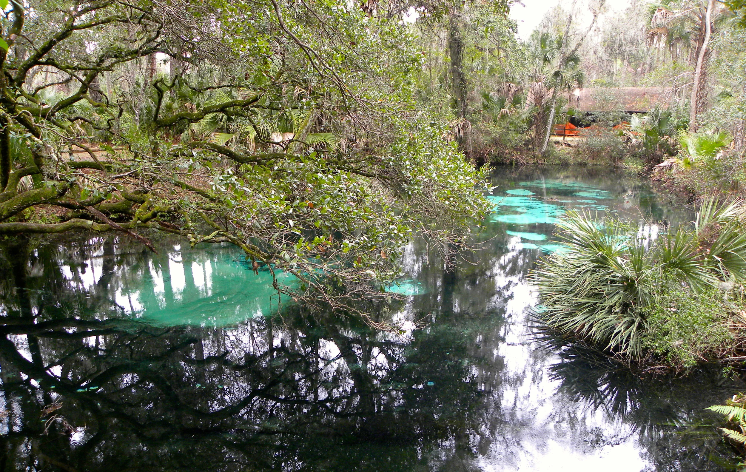 Juniper Springs Trail  - 22.JPG