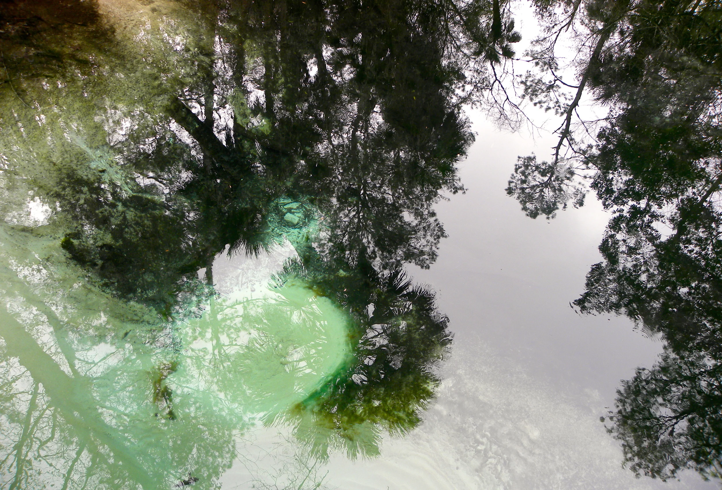 Juniper Springs Trail  - 23.JPG