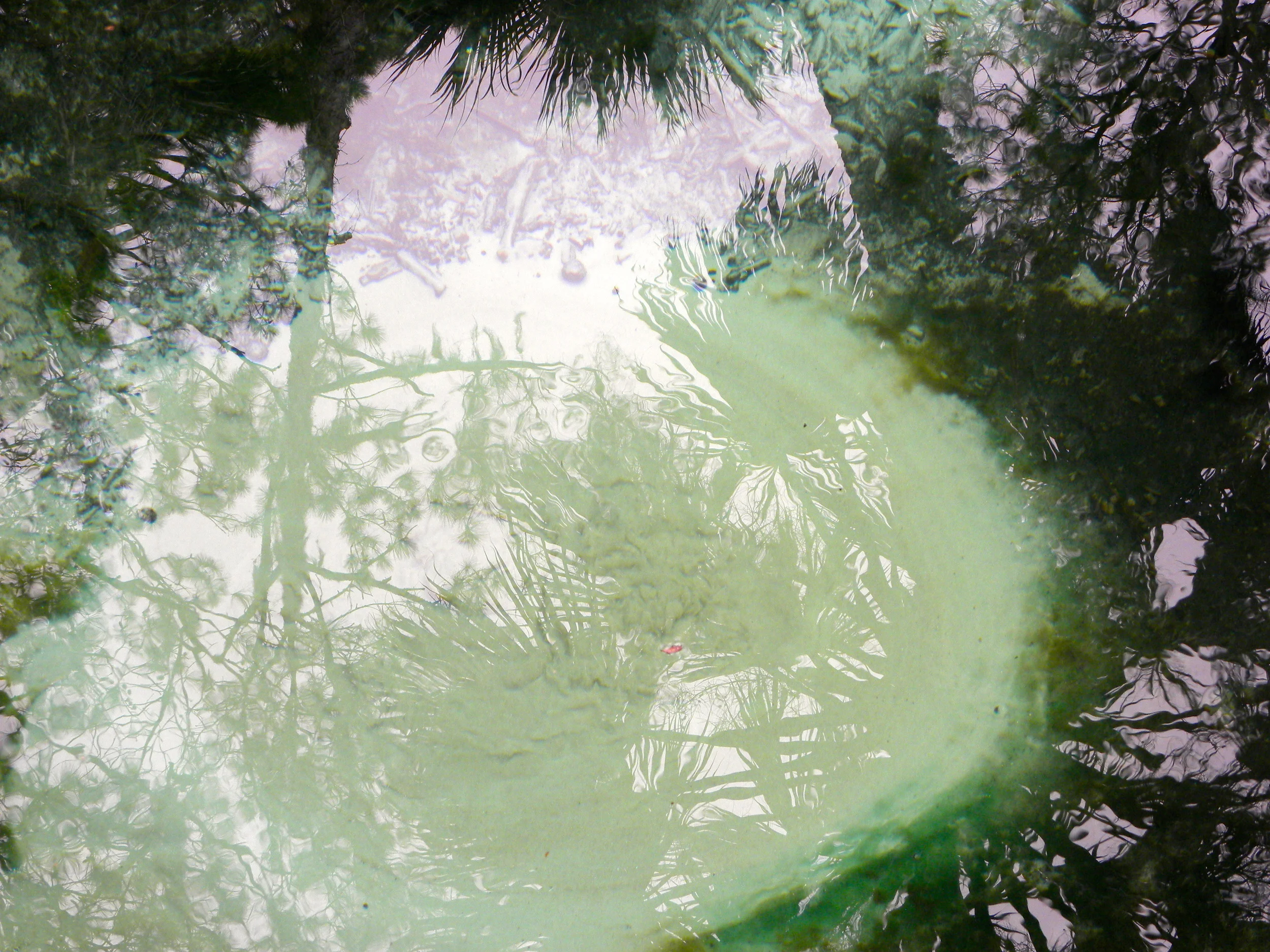 Juniper Springs Trail  - 25.JPG