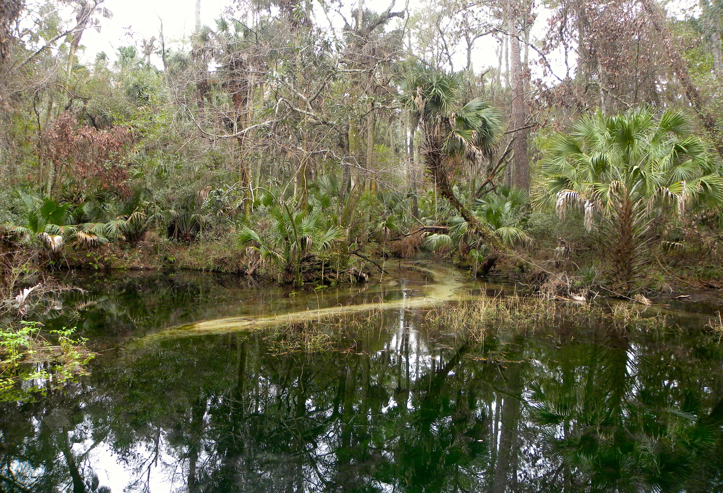 Juniper Springs Trail  - 24.JPG