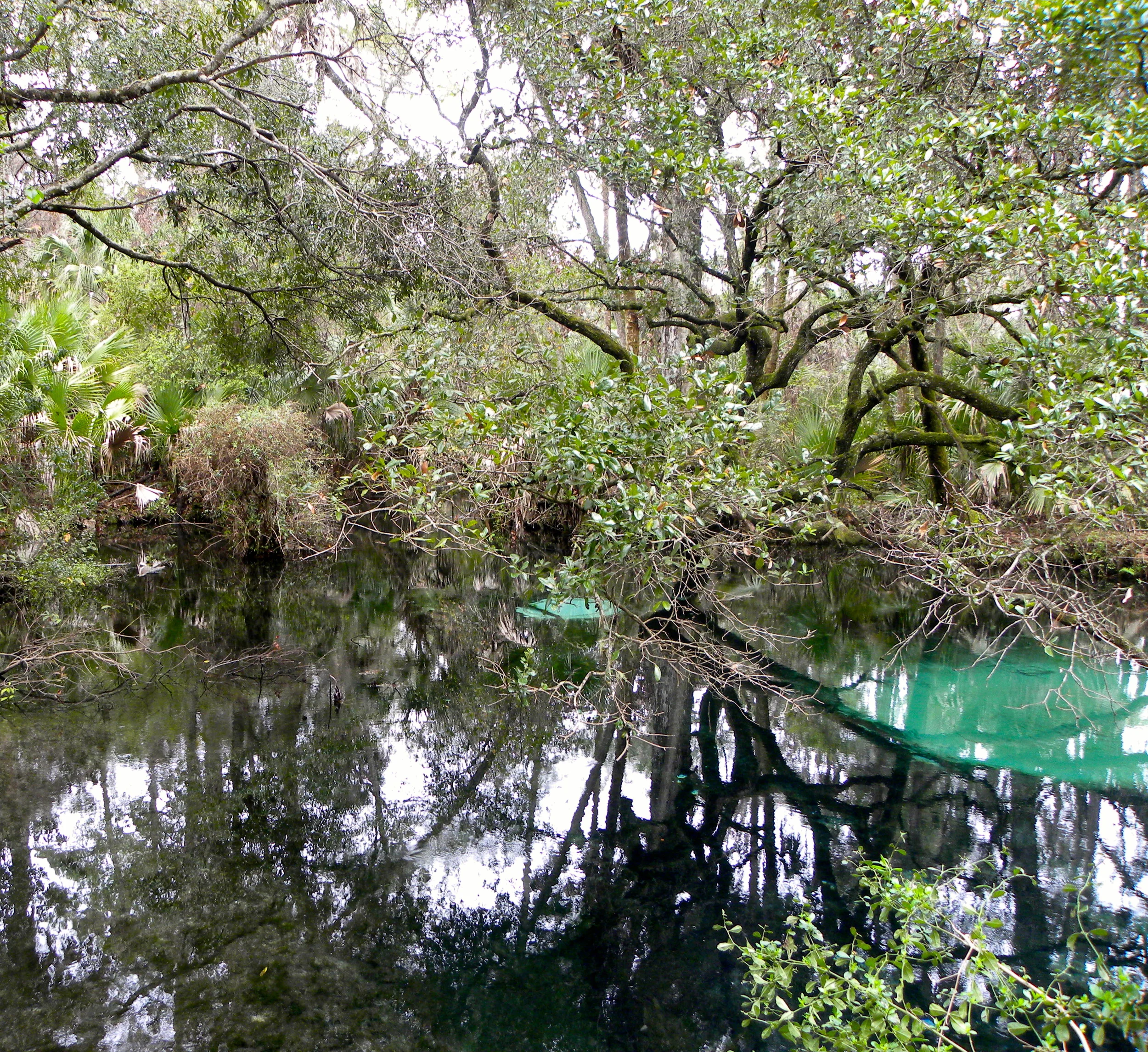 Juniper Springs Trail  - 26.JPG