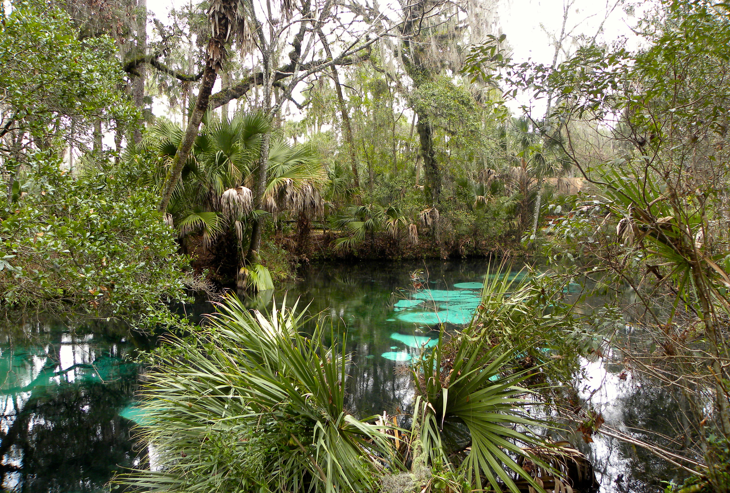 Juniper Springs Trail  - 27.JPG