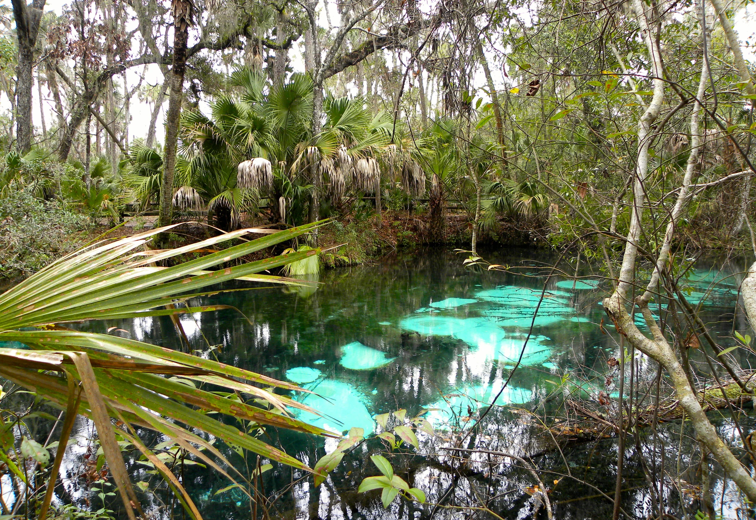 Juniper Springs Trail  - 28.JPG