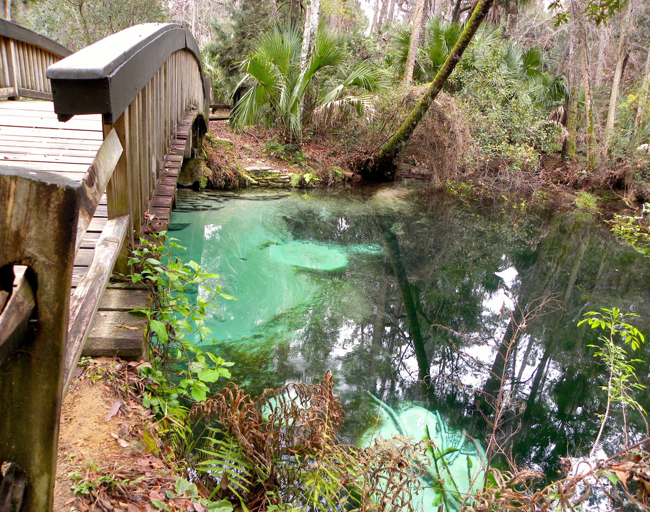 Juniper Springs Trail  - 29.JPG