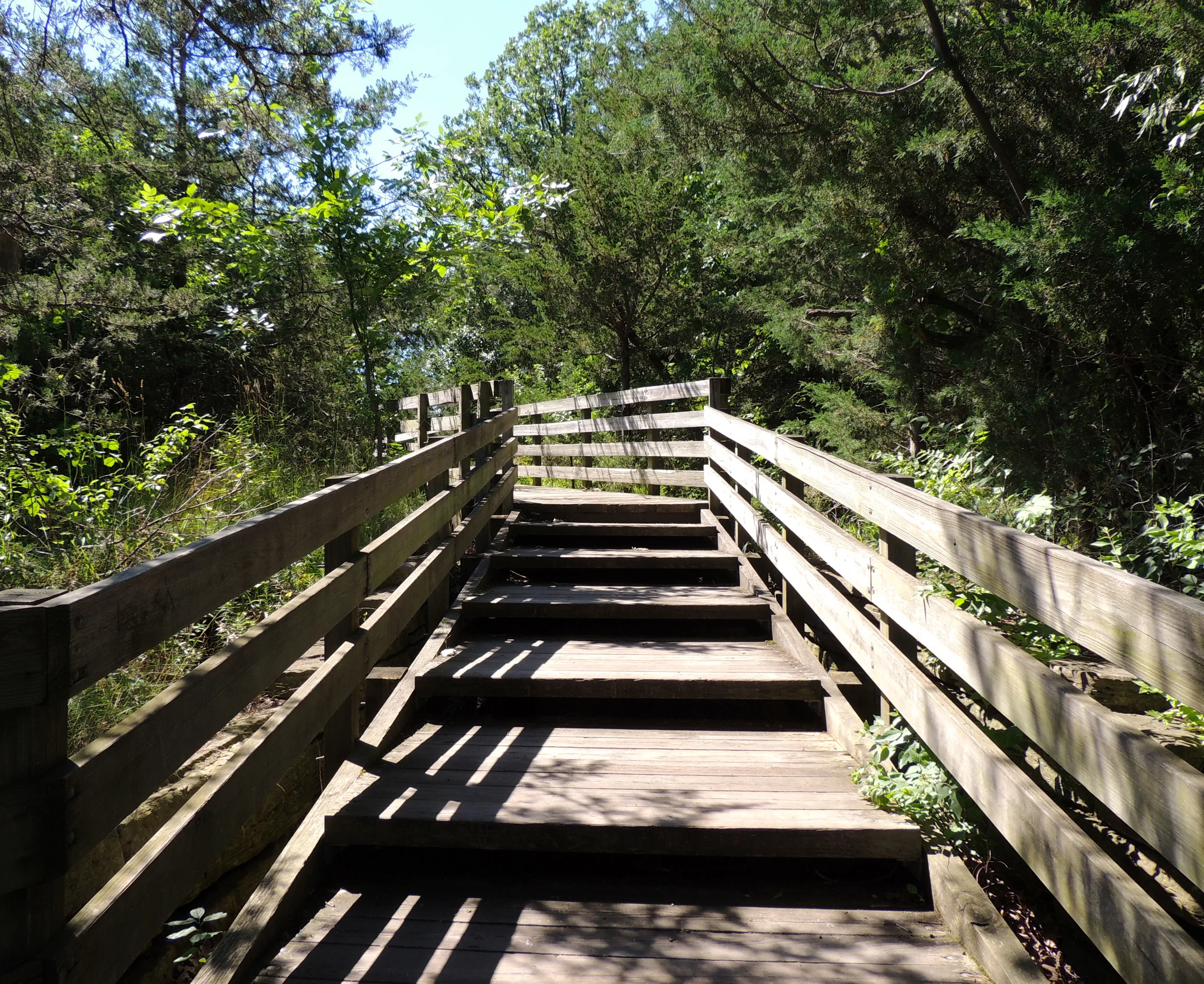 DSCN0116.JPG