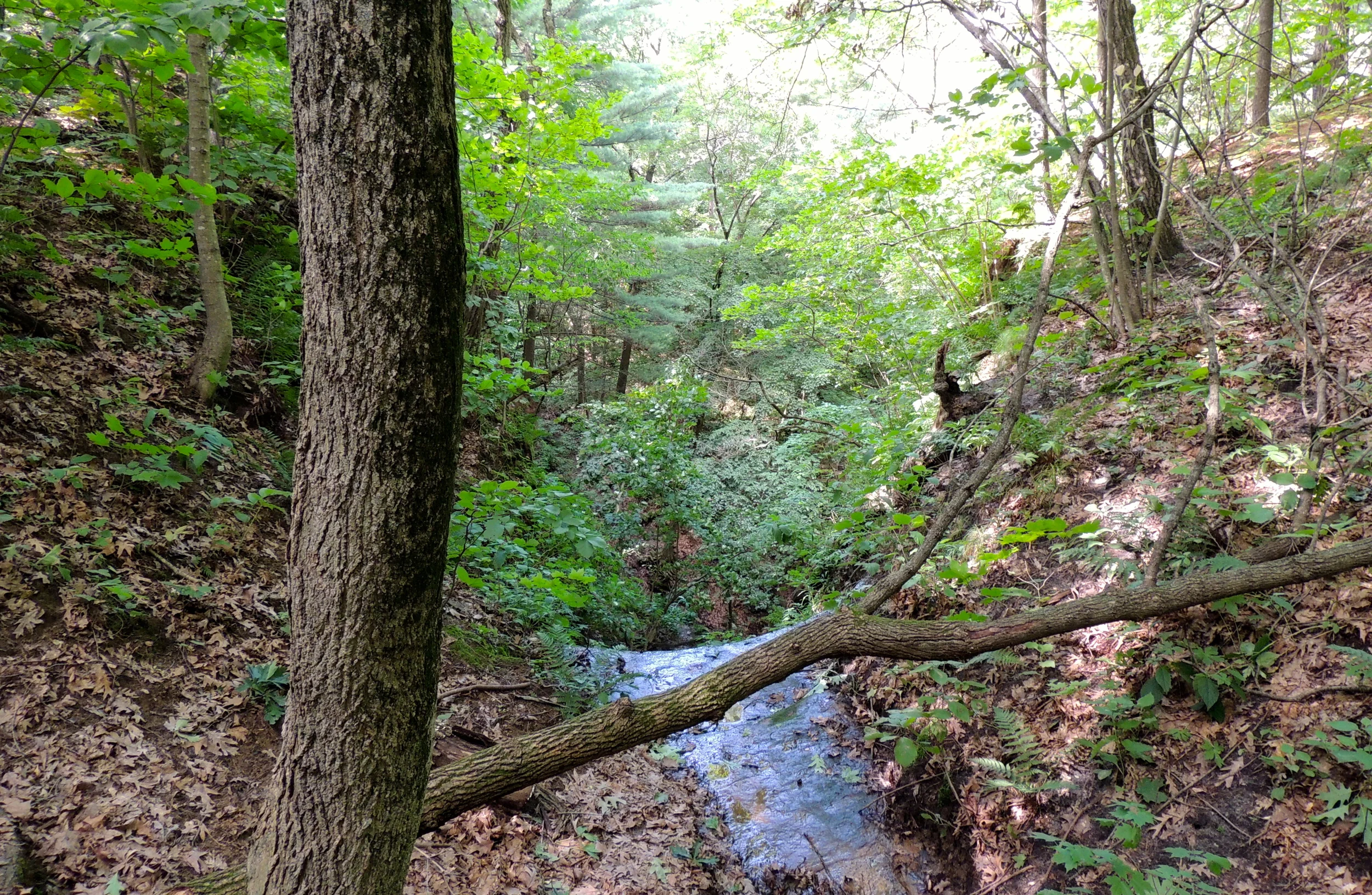 DSCN0155.JPG