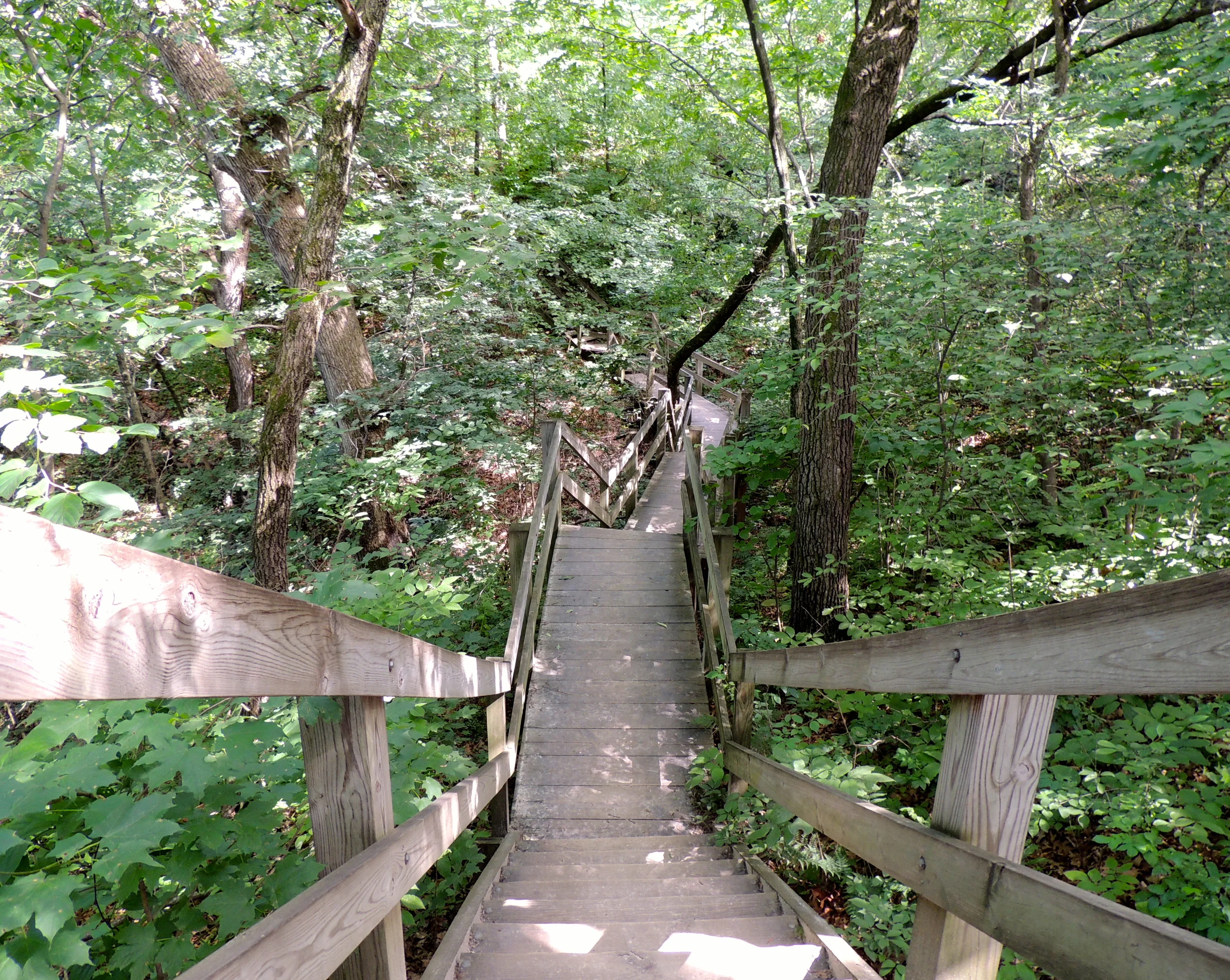 DSCN0158x.JPG