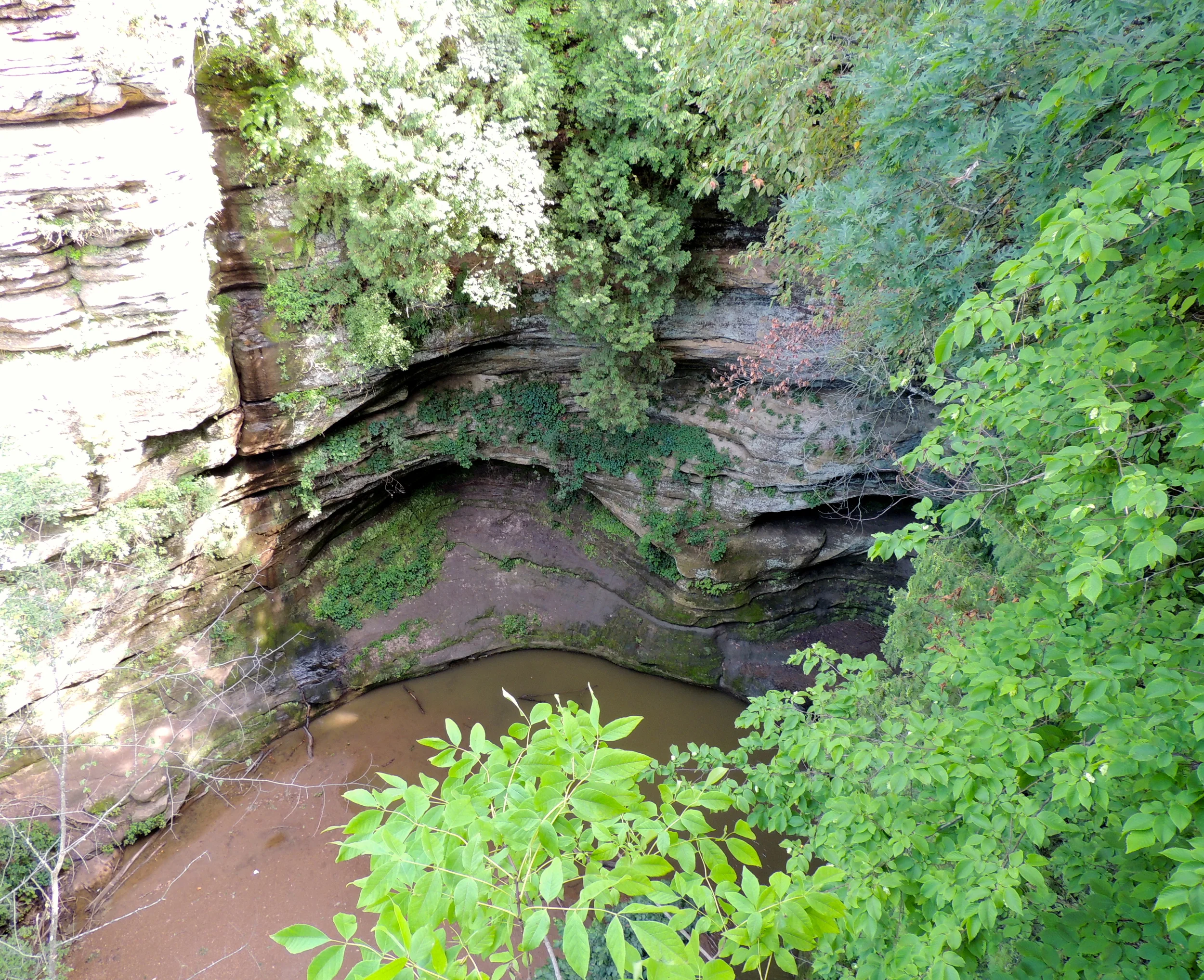 DSCN0162x.JPG