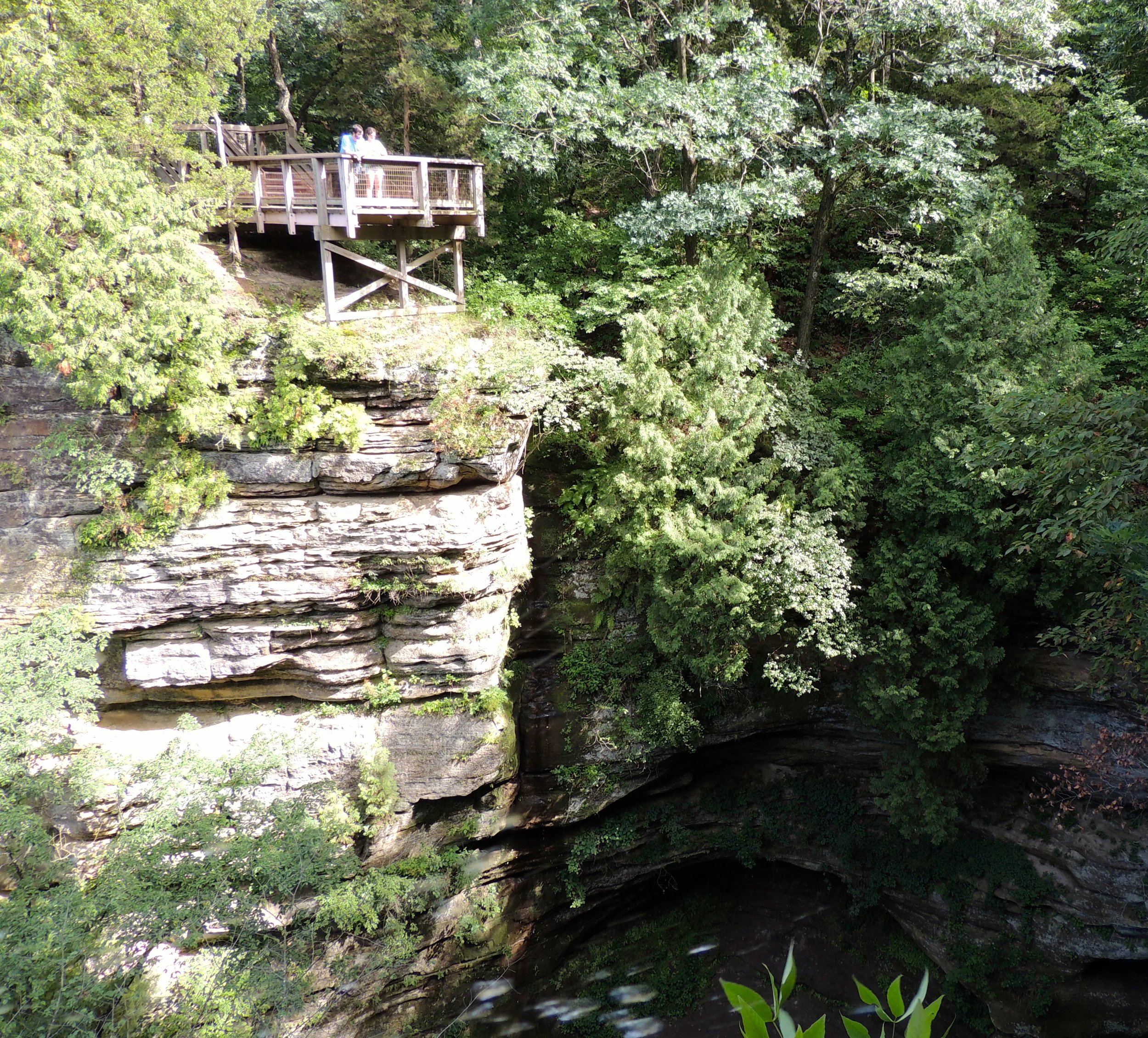 DSCN0163x.JPG