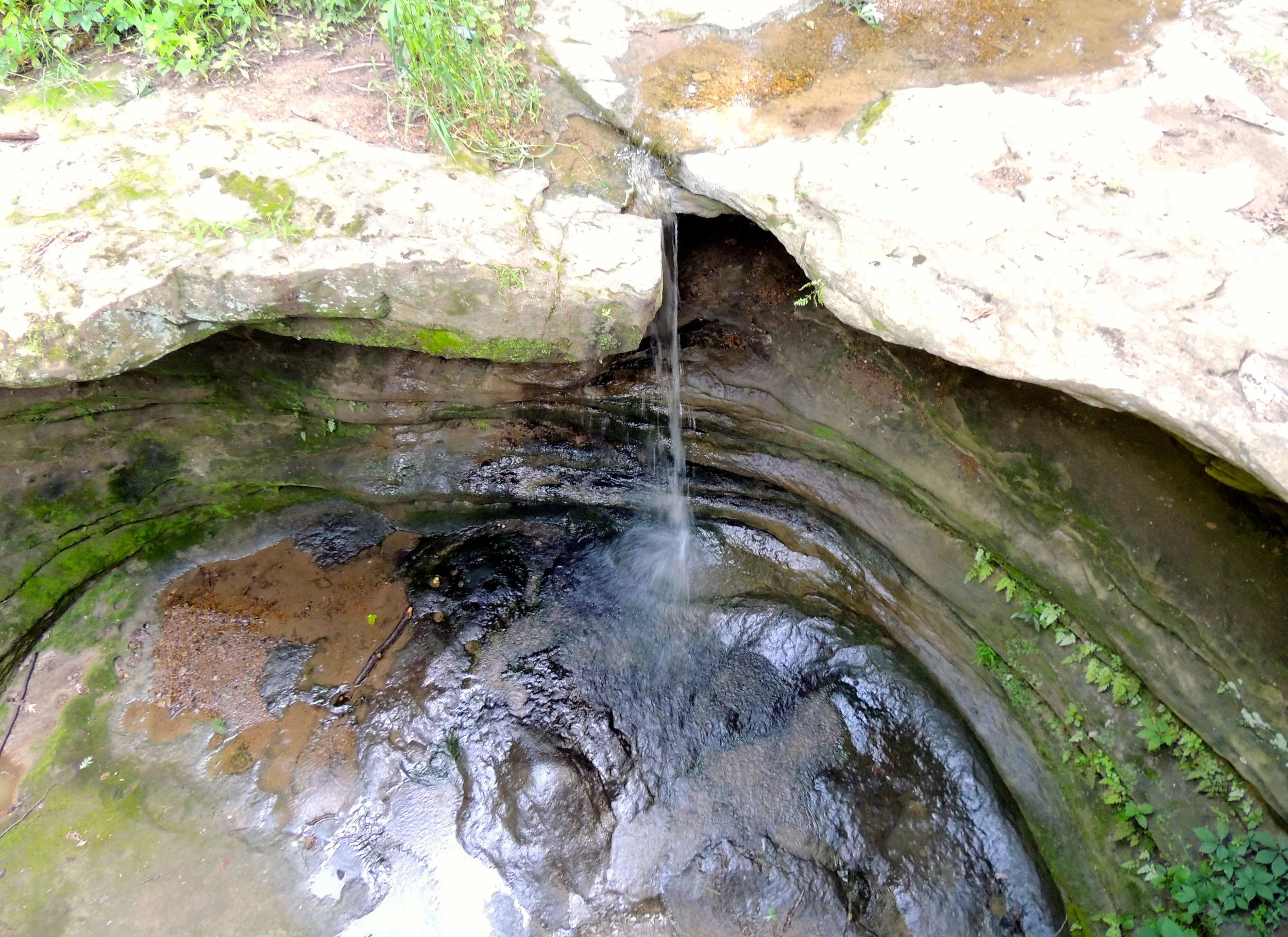 DSCN0170x.JPG