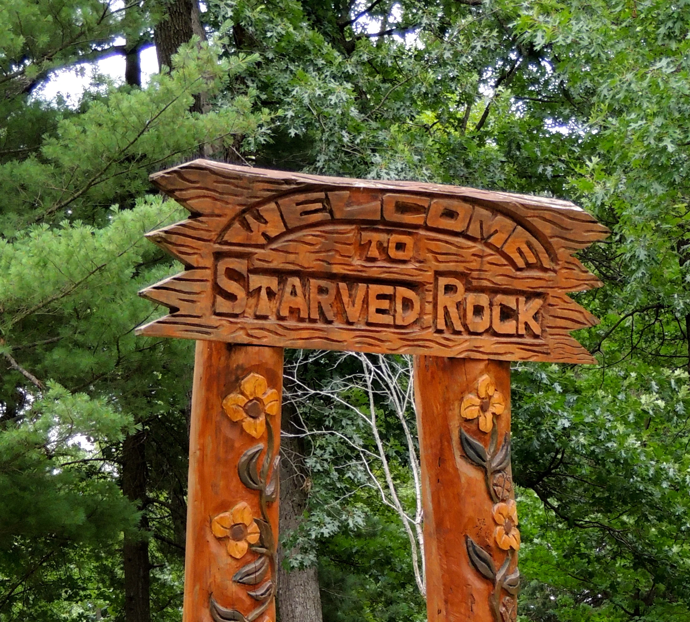 DSCN0348x - Version 2.JPG