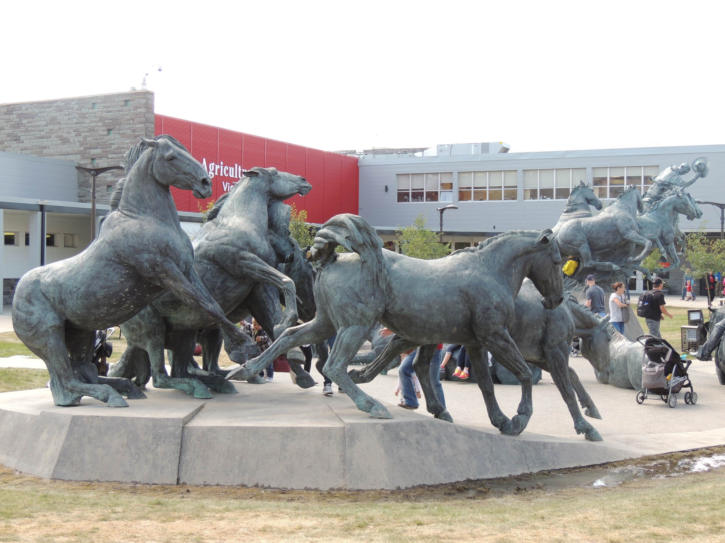 DSCN1688.JPG
